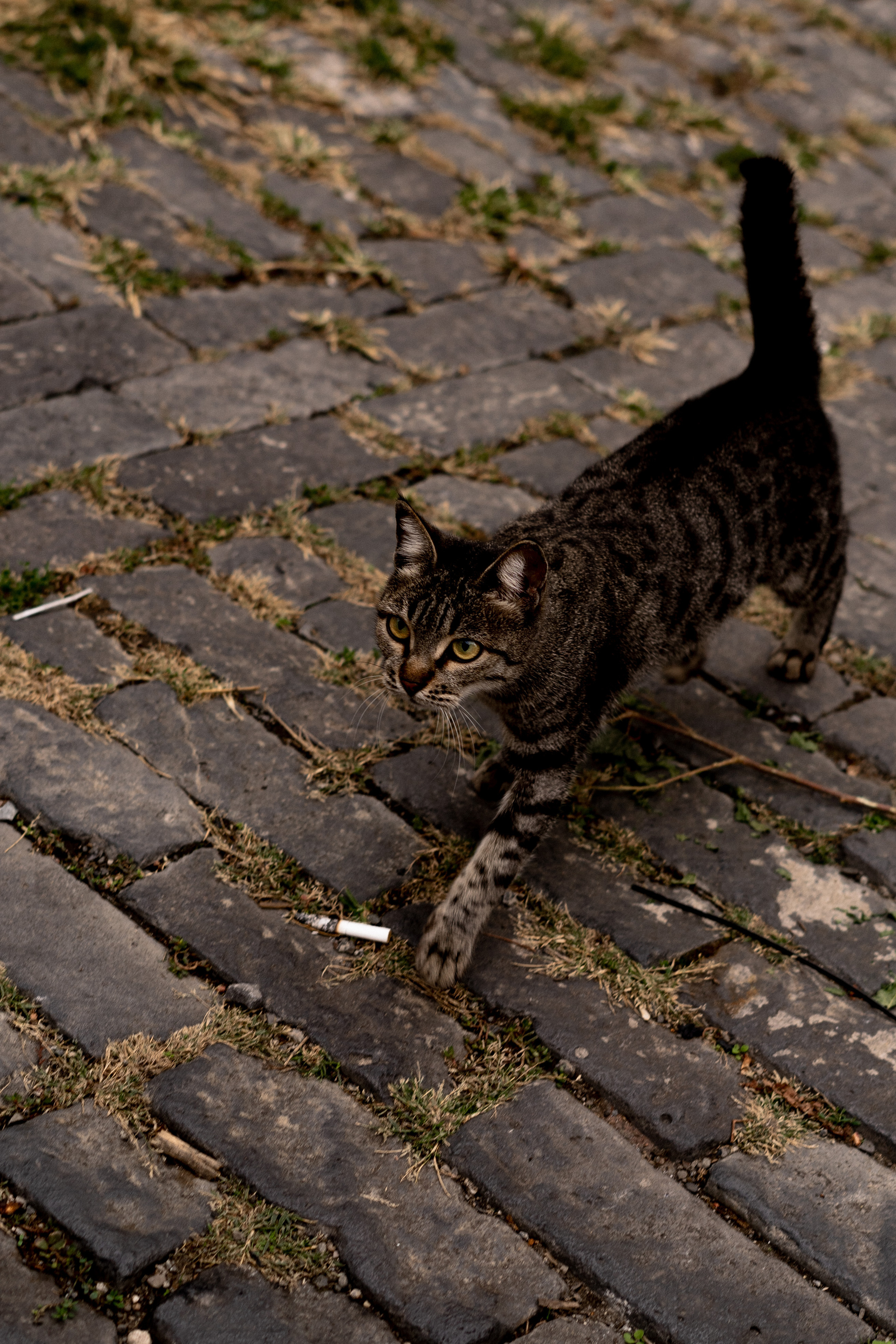Georgia. VALERIYA ERMOLAEVA PHOTOGRAPHER IN VALENCIA, SPAIN