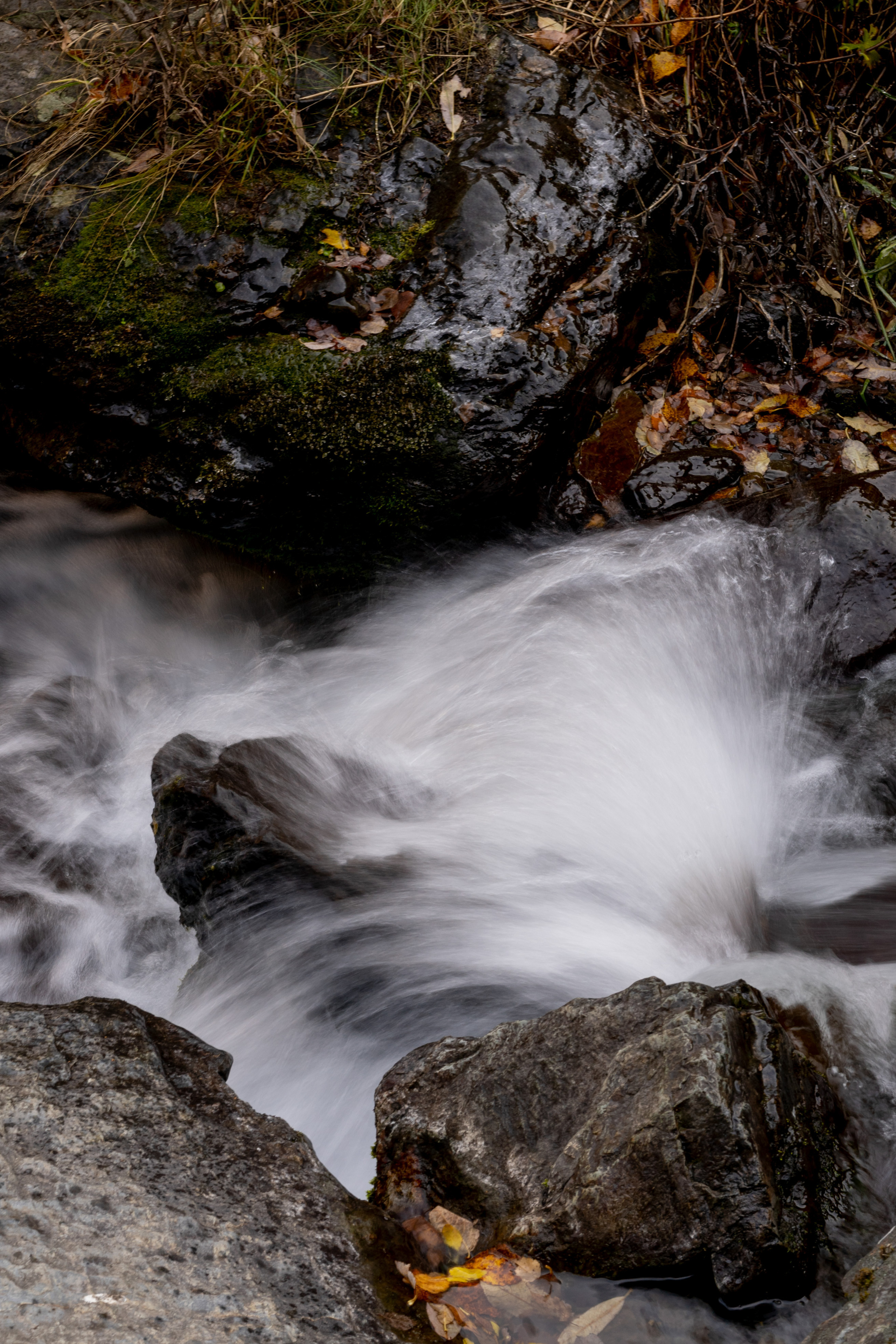 Georgia. VALERIYA ERMOLAEVA PHOTOGRAPHER IN VALENCIA, SPAIN