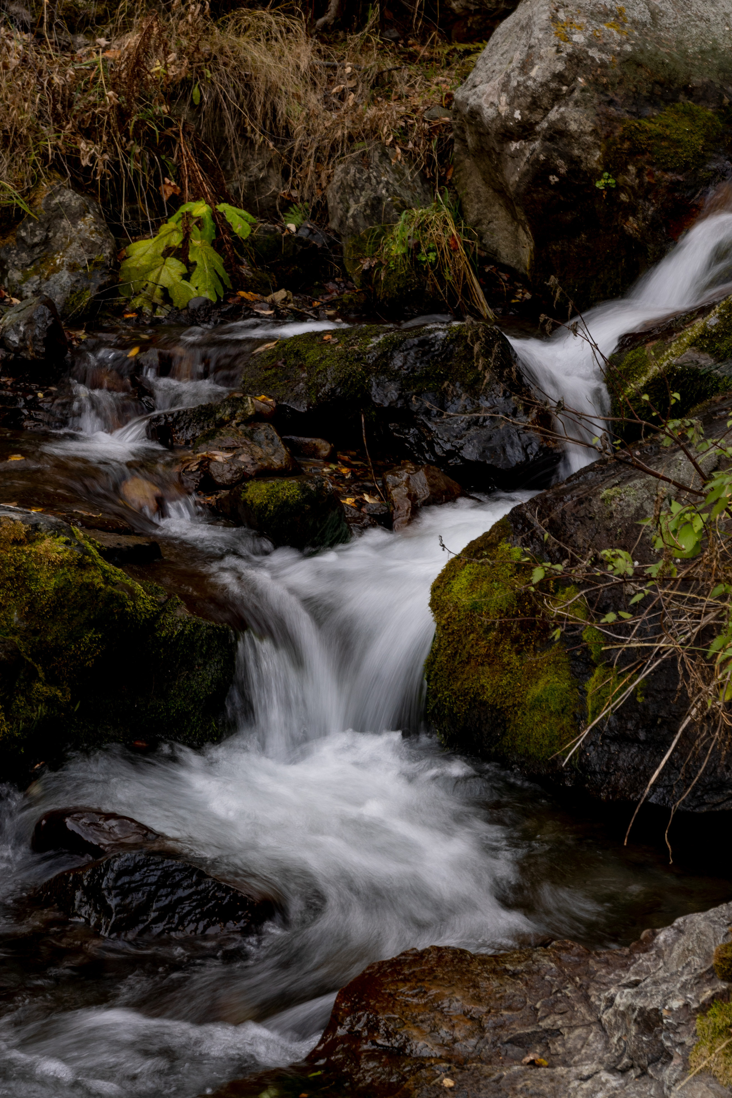 Georgia. VALERIYA ERMOLAEVA PHOTOGRAPHER IN VALENCIA, SPAIN