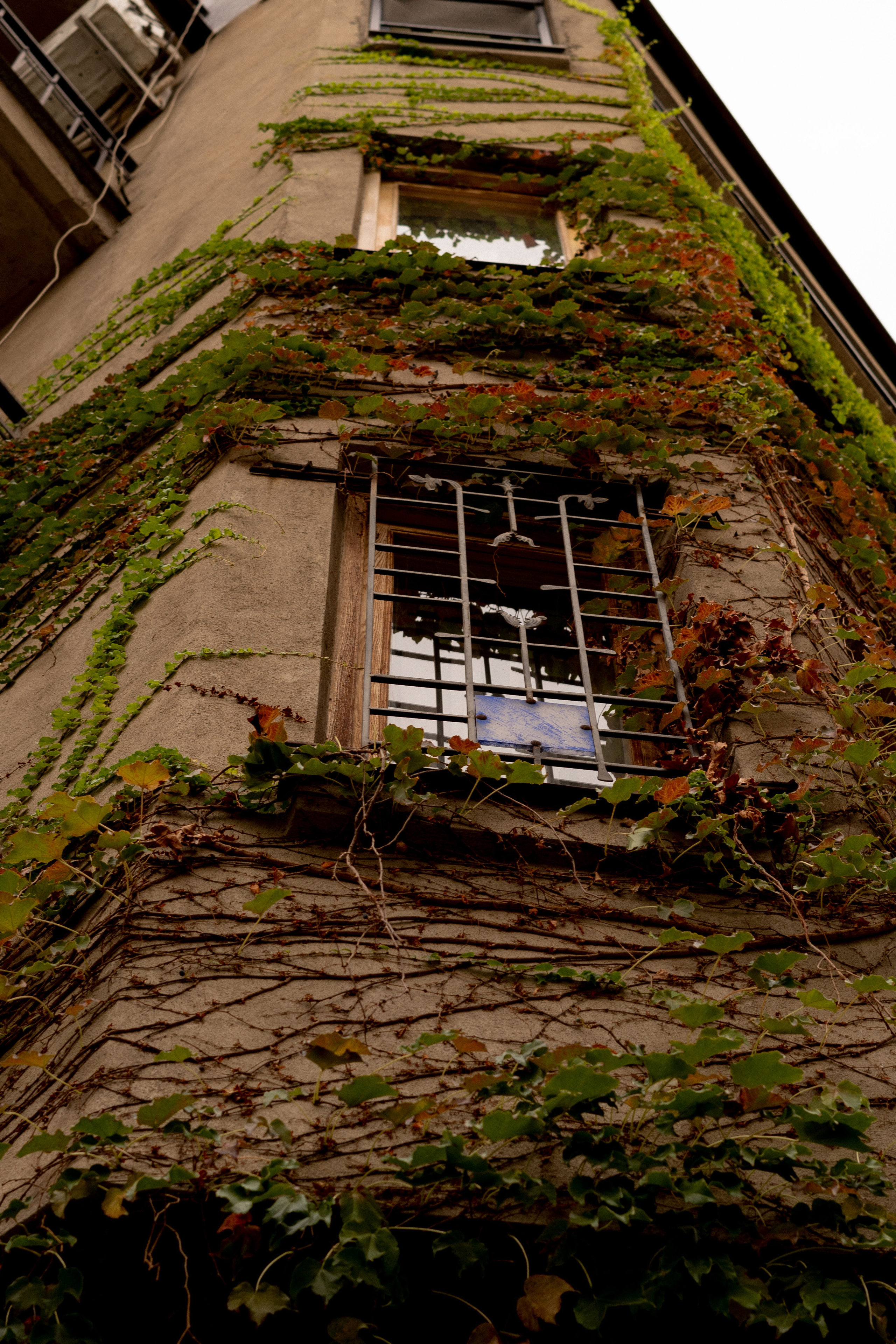 Georgia. VALERIYA ERMOLAEVA PHOTOGRAPHER IN VALENCIA, SPAIN