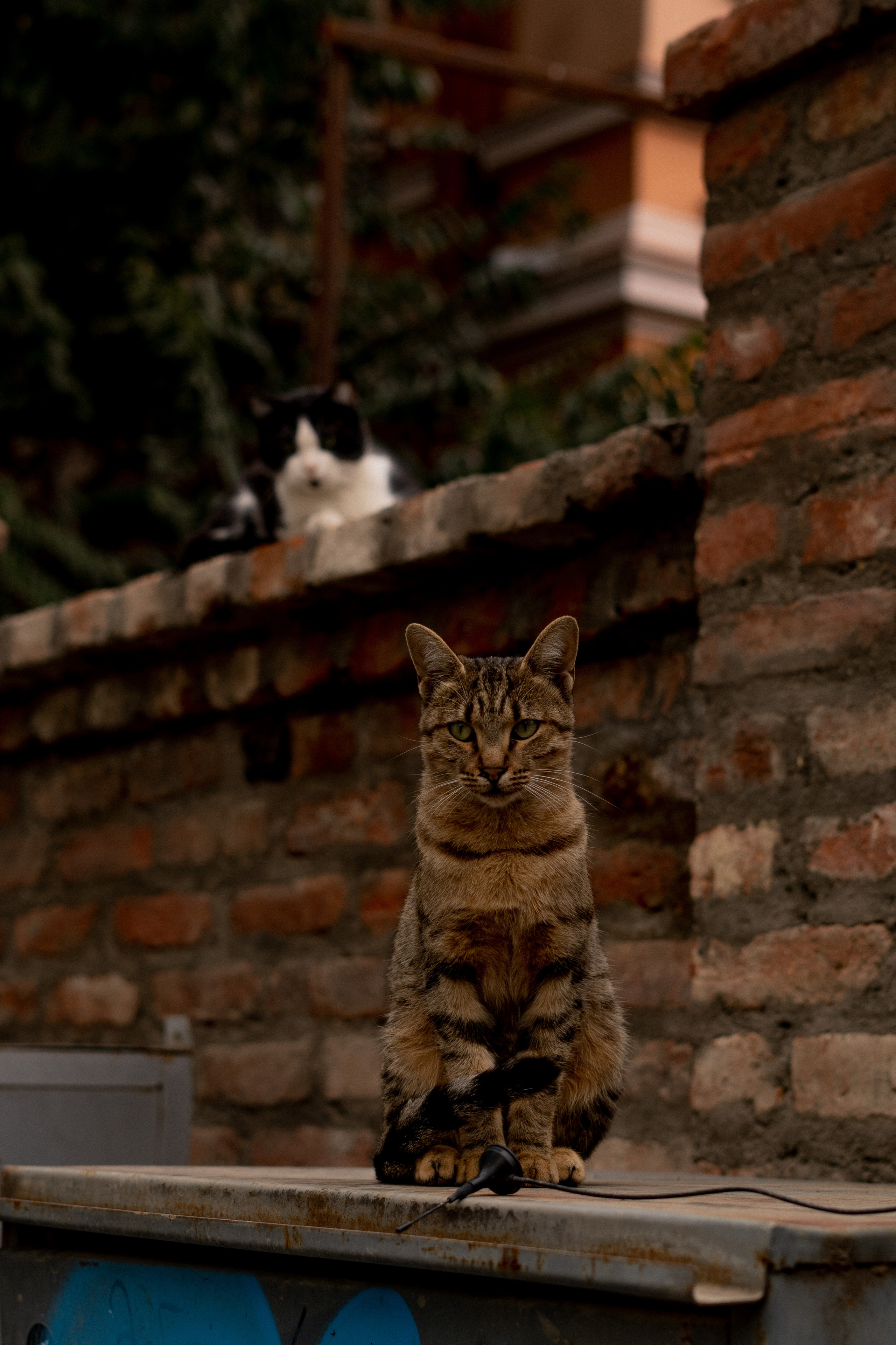 Georgia. VALERIYA ERMOLAEVA PHOTOGRAPHER IN VALENCIA, SPAIN