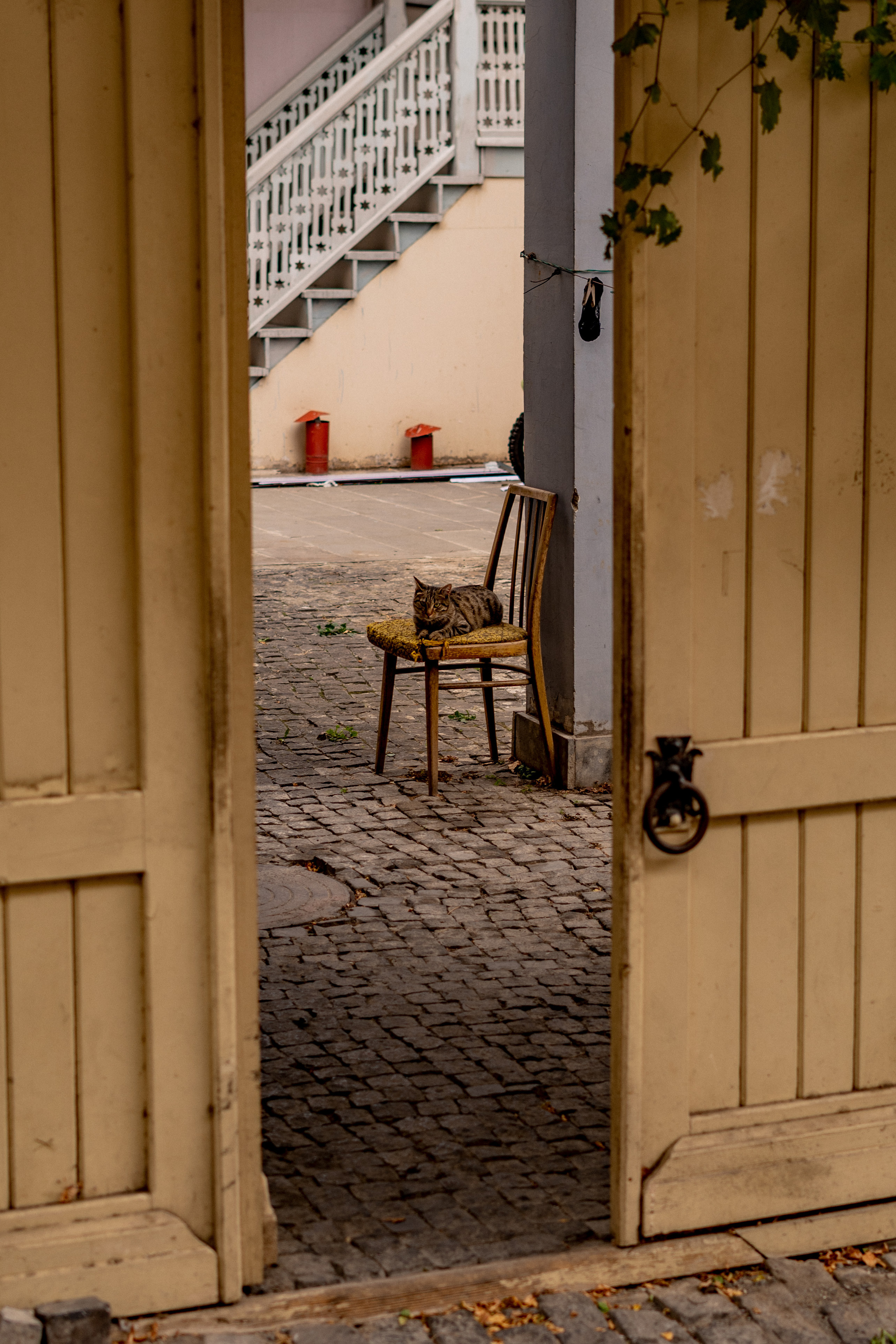 Georgia. VALERIYA ERMOLAEVA PHOTOGRAPHER IN VALENCIA, SPAIN