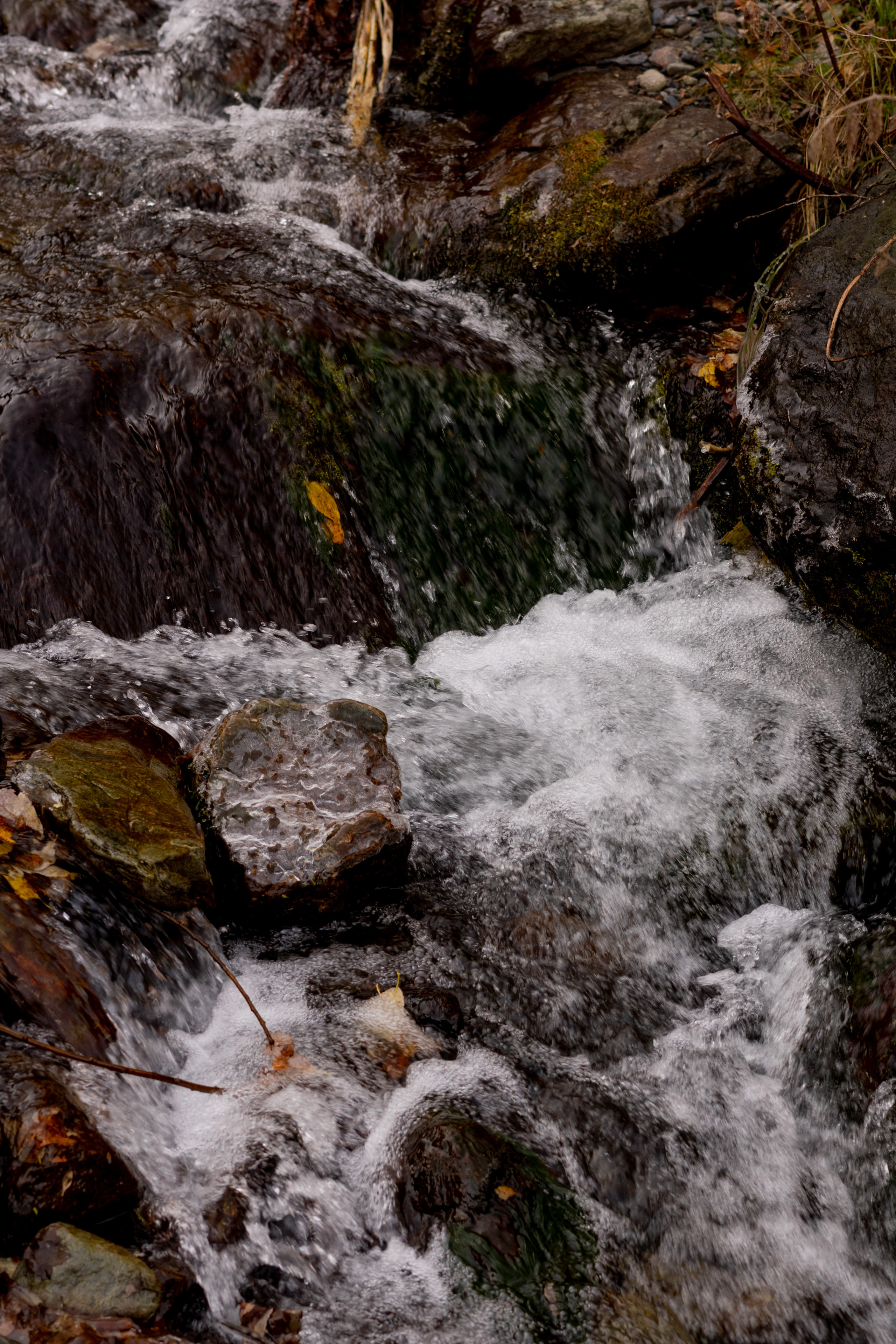 Georgia. VALERIYA ERMOLAEVA PHOTOGRAPHER IN VALENCIA, SPAIN
