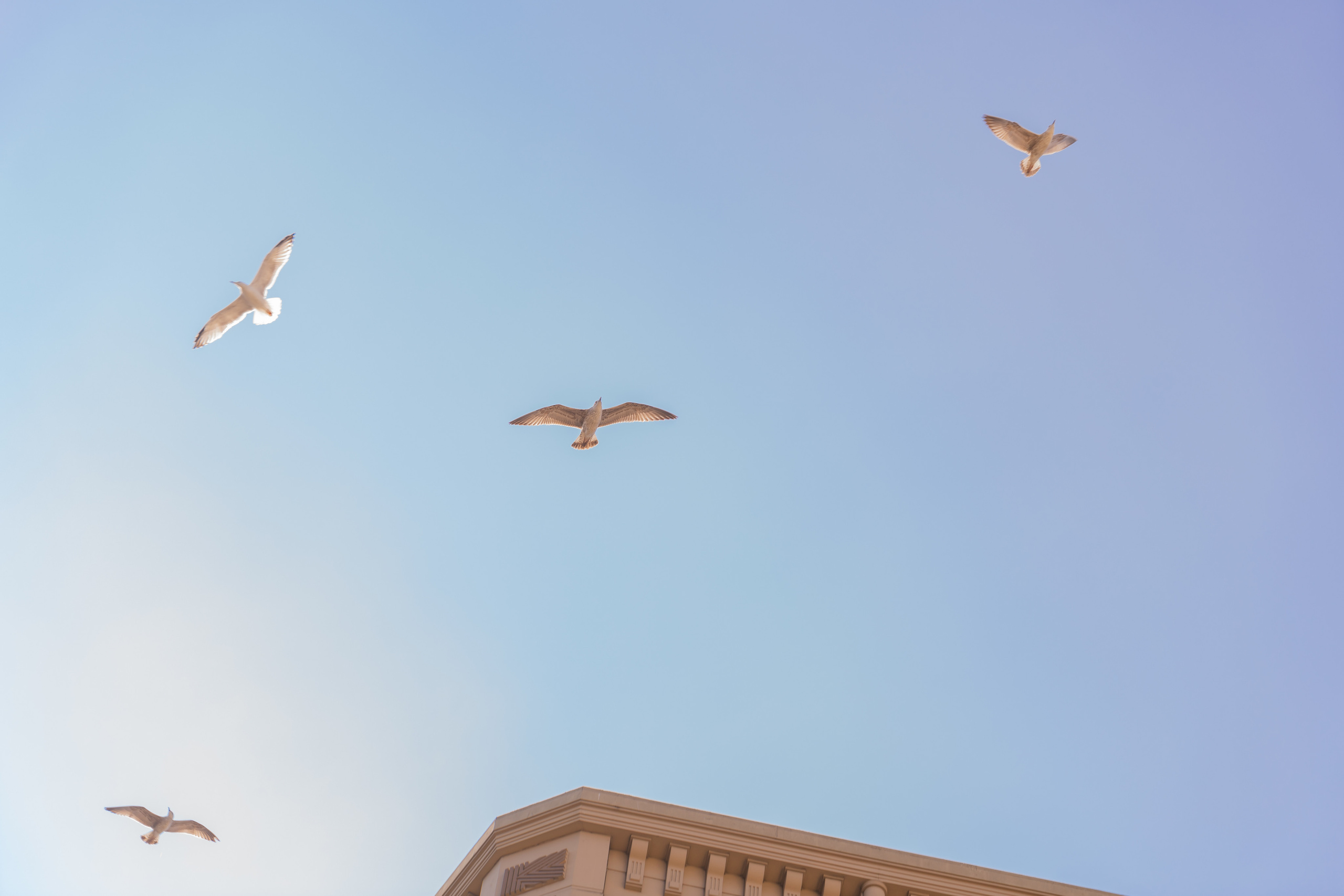Turkey. VALERIYA ERMOLAEVA PHOTOGRAPHER IN VALENCIA, SPAIN