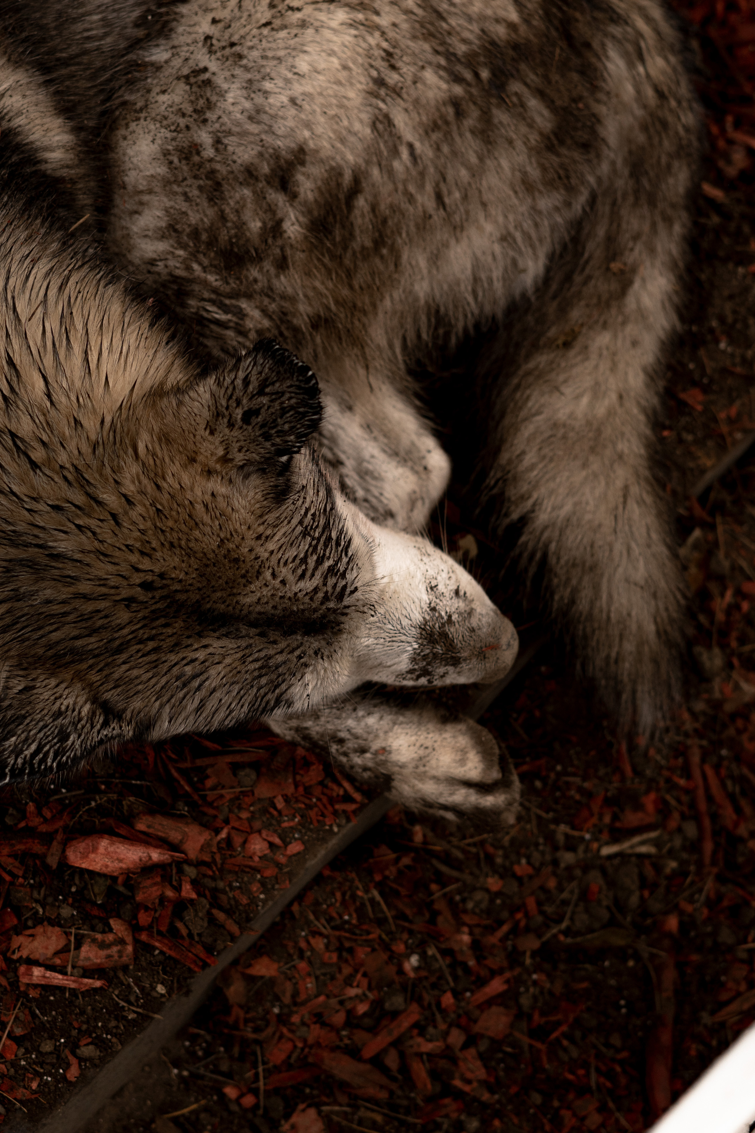 Georgia. VALERIYA ERMOLAEVA PHOTOGRAPHER IN VALENCIA, SPAIN