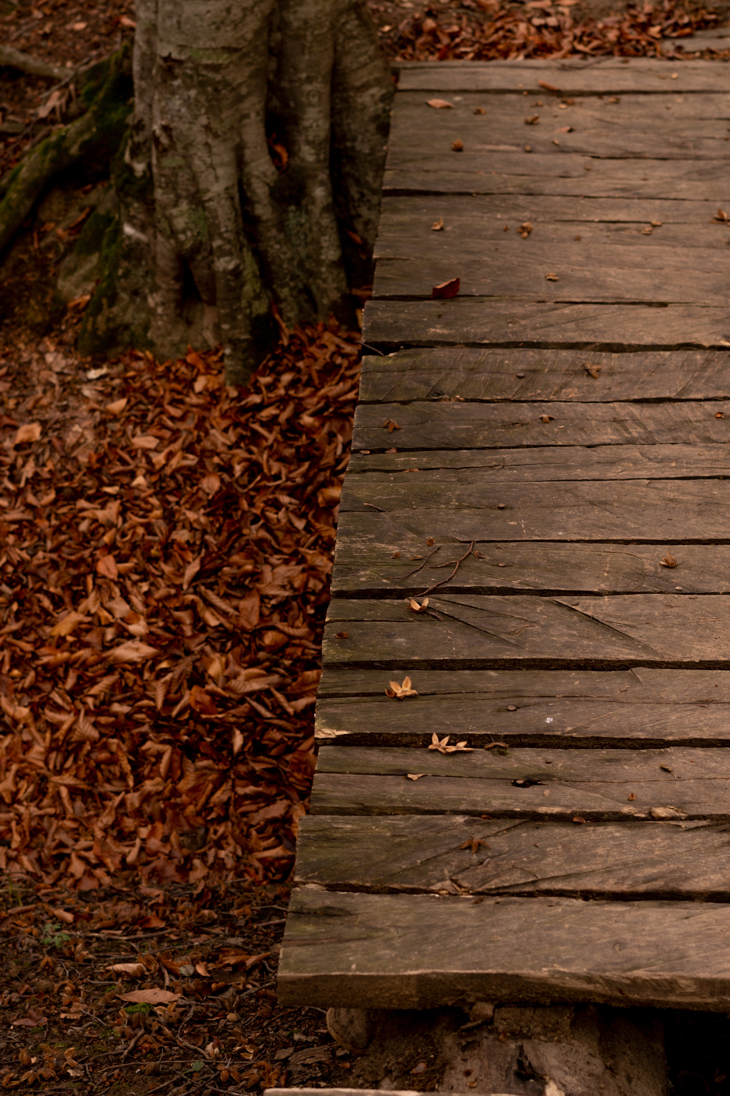 Georgia. VALERIYA ERMOLAEVA PHOTOGRAPHER IN VALENCIA, SPAIN