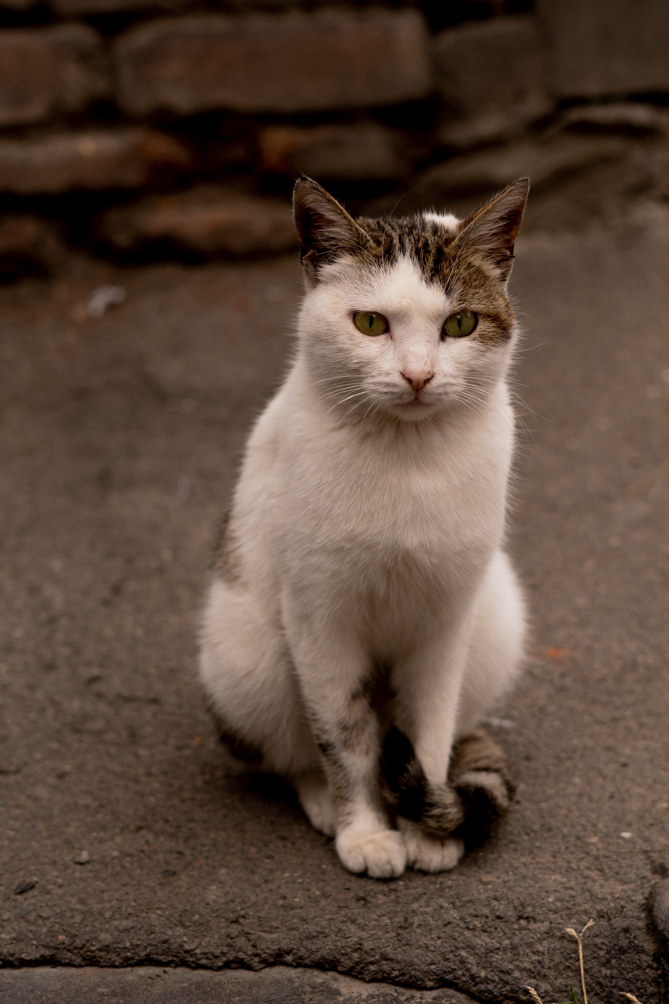 Georgia. VALERIYA ERMOLAEVA PHOTOGRAPHER IN VALENCIA, SPAIN