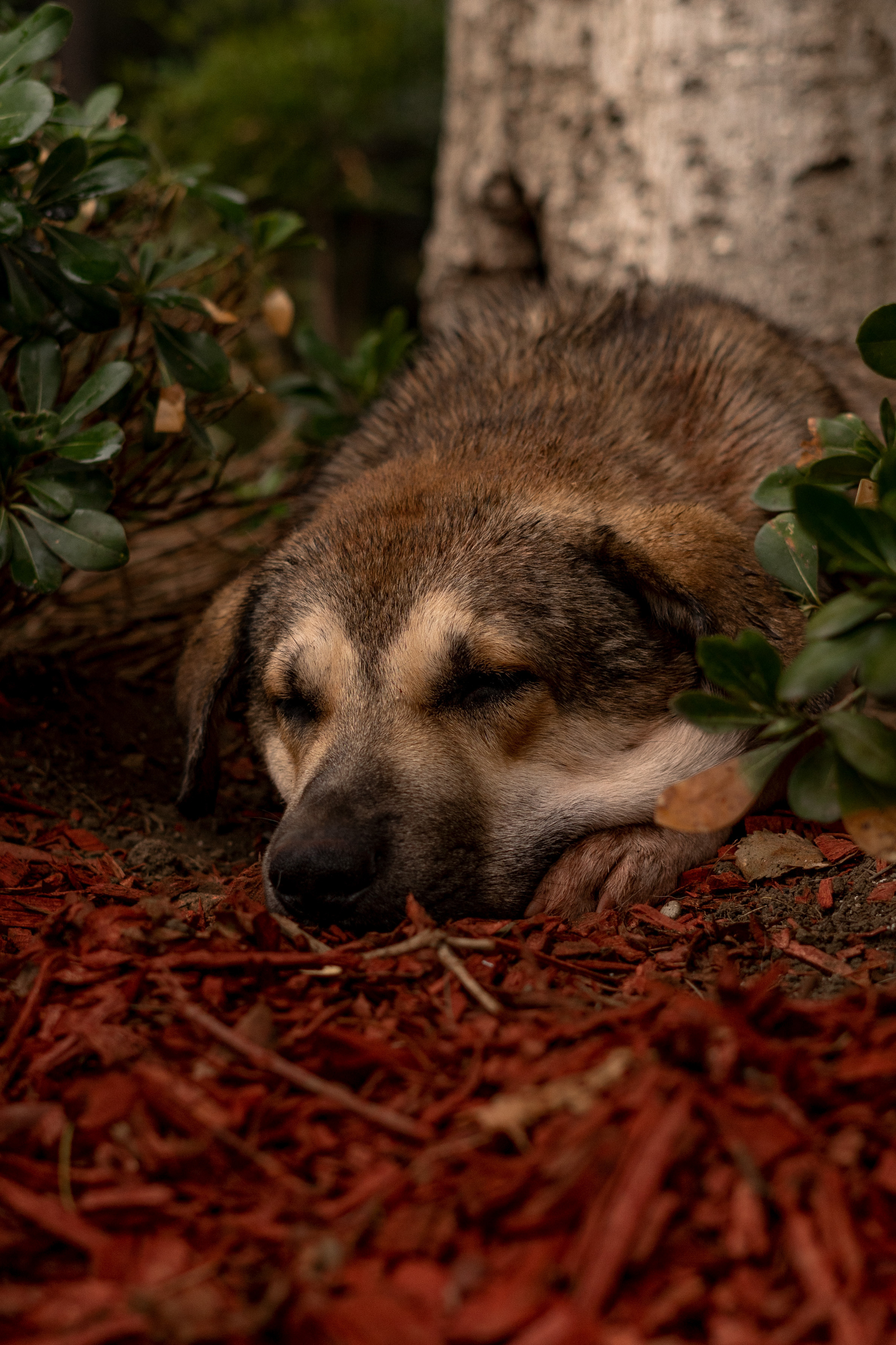 Georgia. VALERIYA ERMOLAEVA PHOTOGRAPHER IN VALENCIA, SPAIN