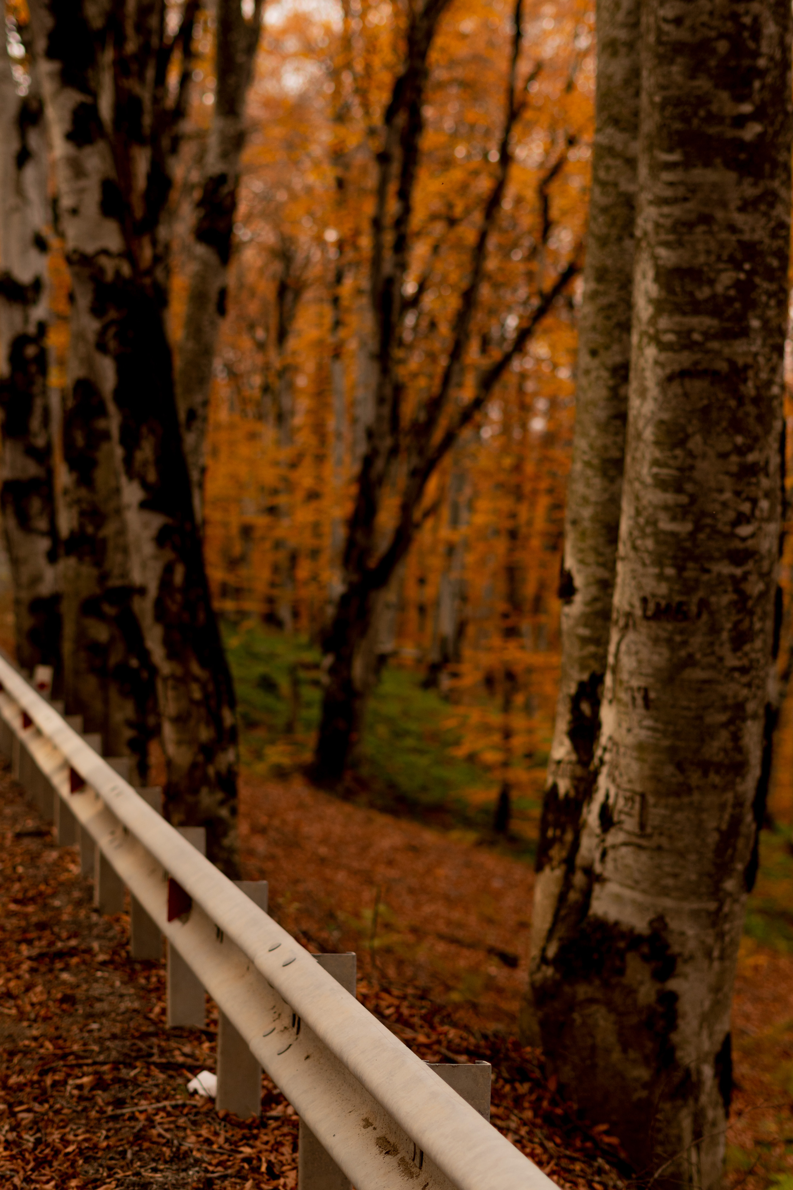 Georgia. VALERIYA ERMOLAEVA PHOTOGRAPHER IN VALENCIA, SPAIN