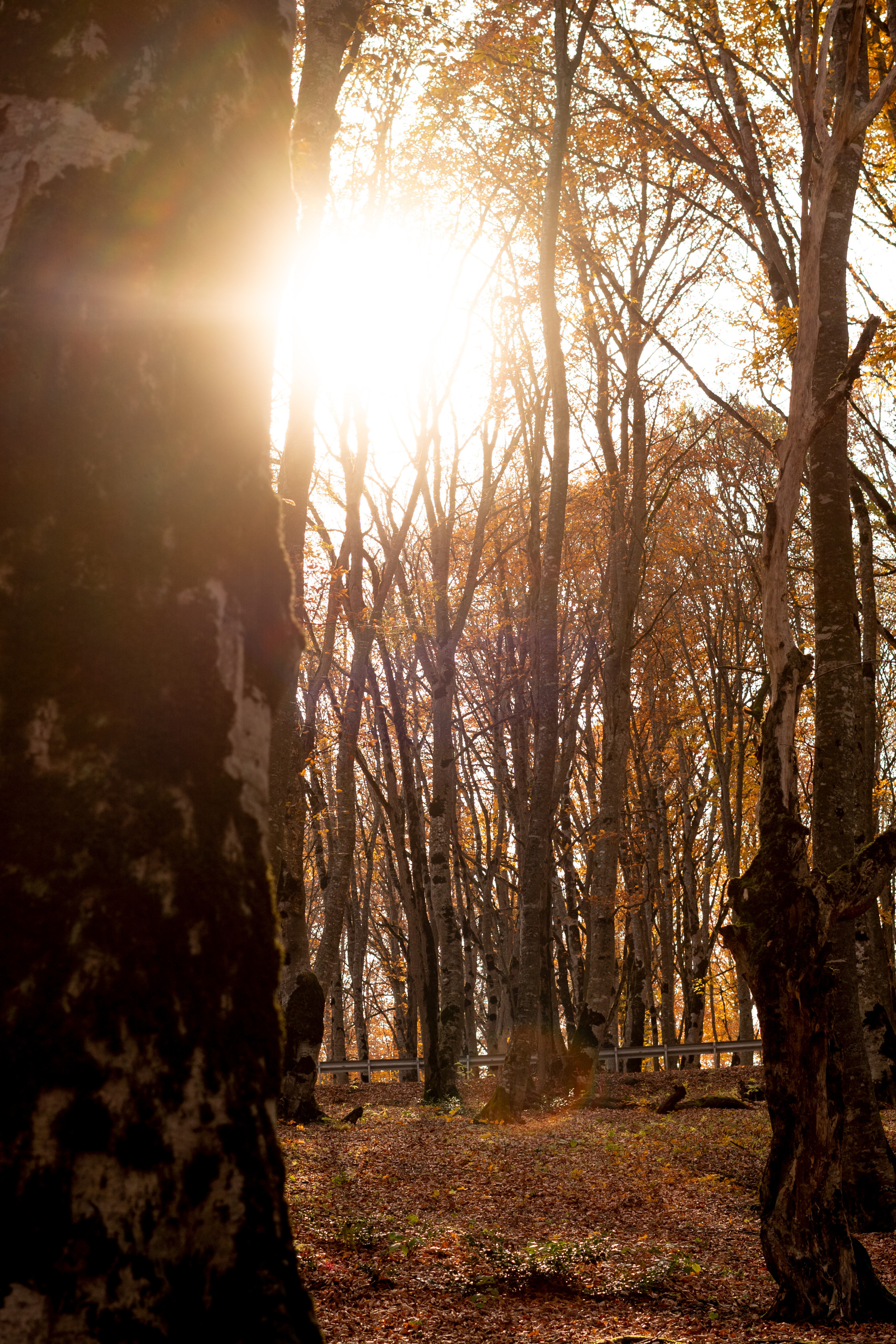 Milena. VALERIYA ERMOLAEVA PHOTOGRAPHER IN VALENCIA, SPAIN