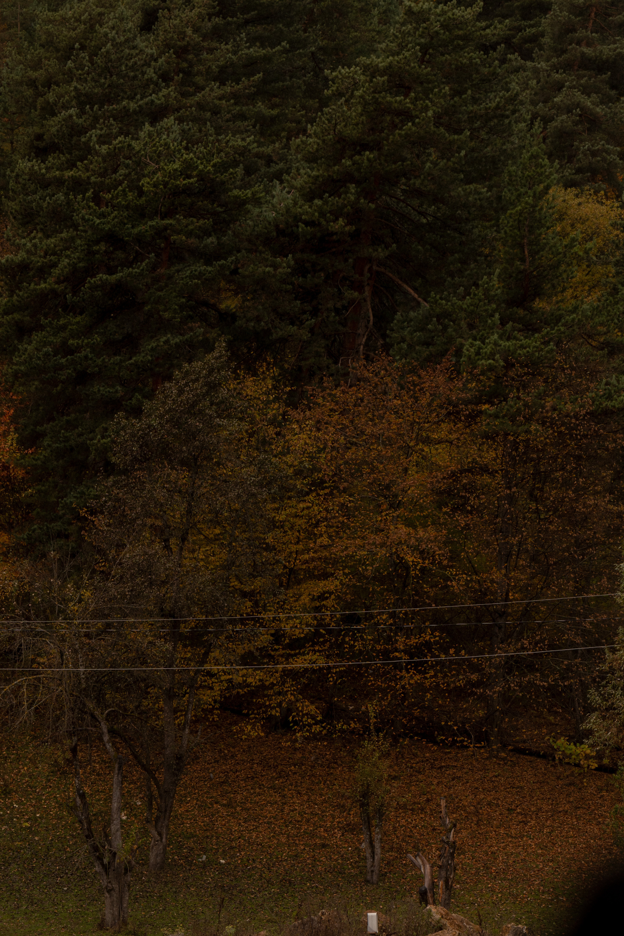 Georgia. VALERIYA ERMOLAEVA PHOTOGRAPHER IN VALENCIA, SPAIN