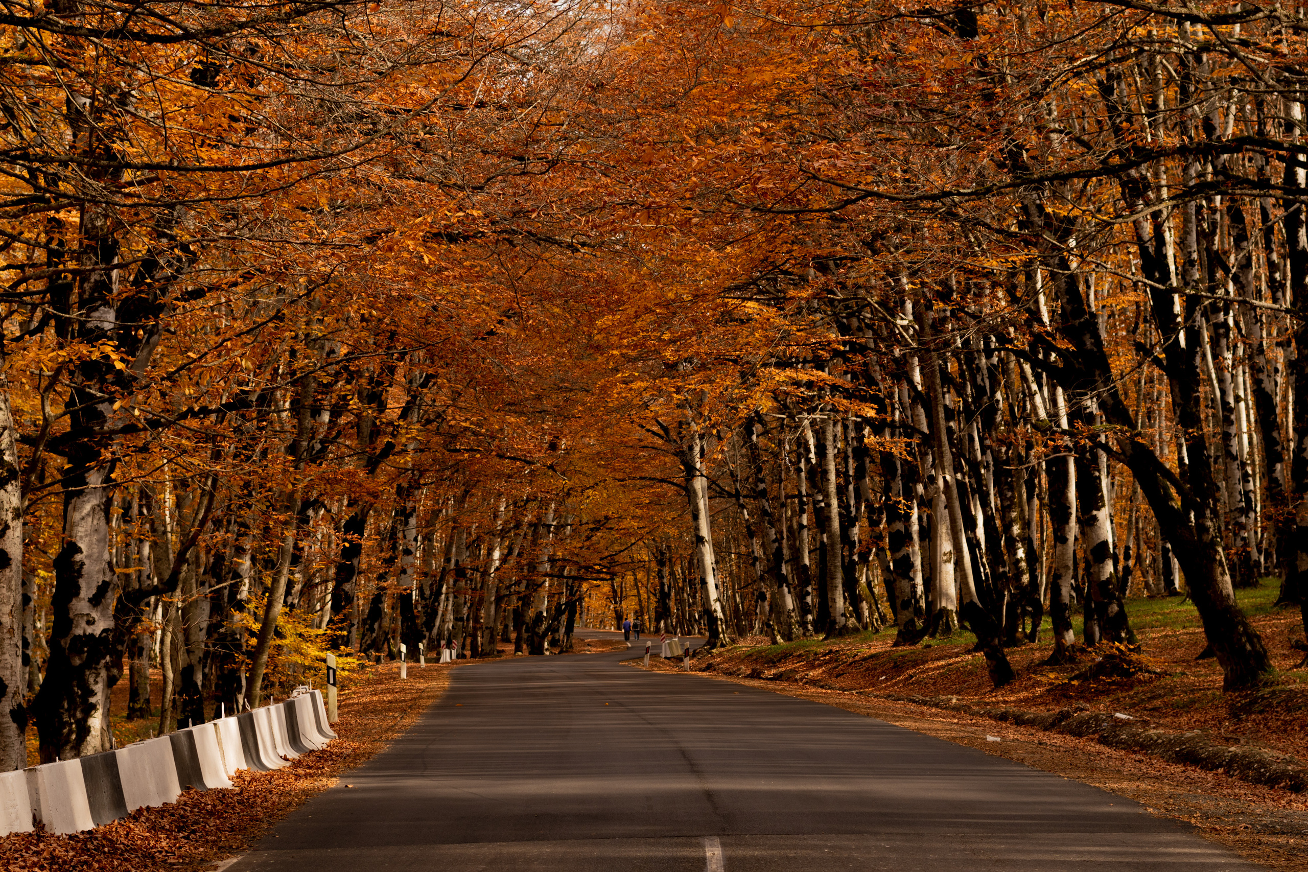 Georgia. VALERIYA ERMOLAEVA PHOTOGRAPHER IN VALENCIA, SPAIN