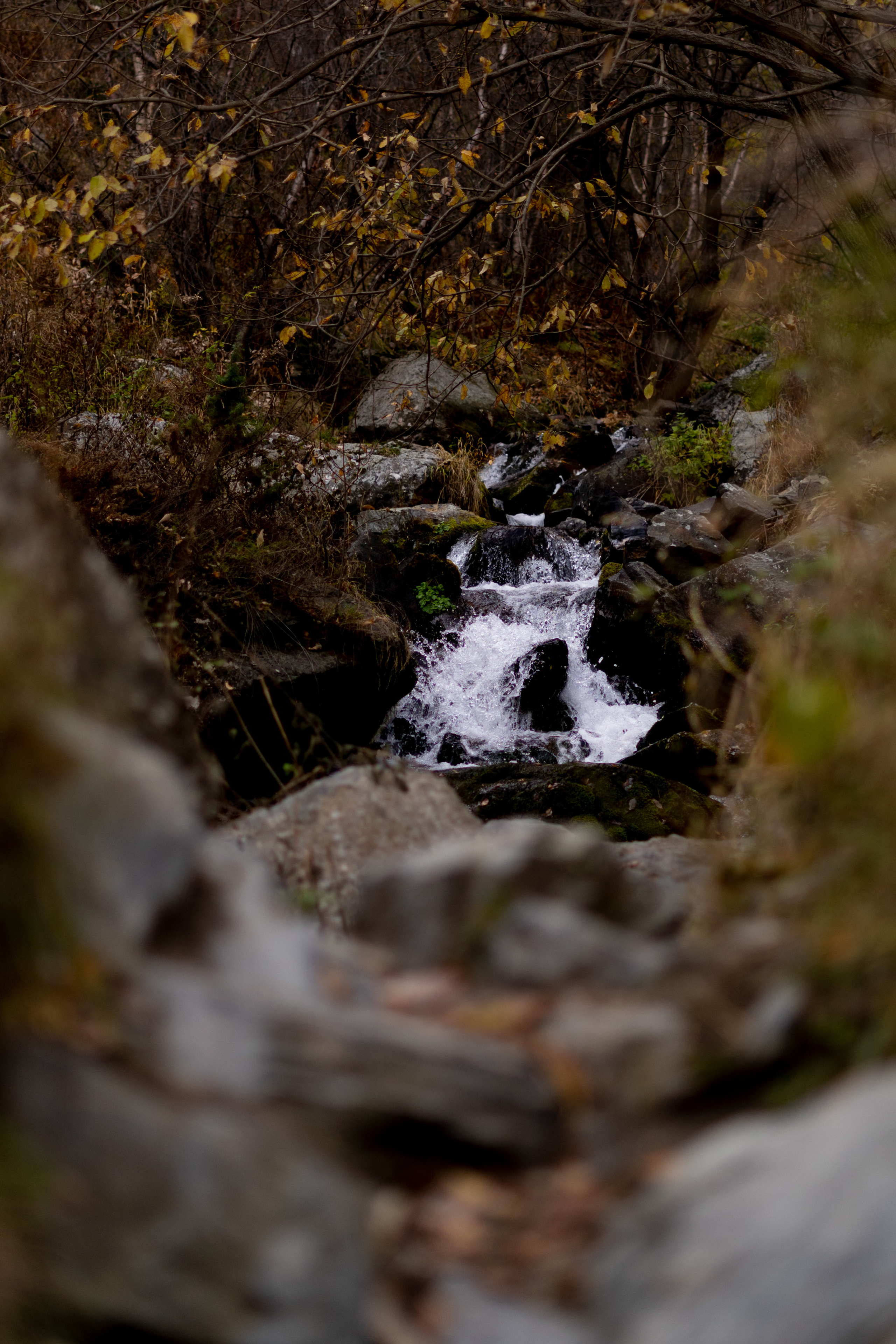 Georgia. VALERIYA ERMOLAEVA PHOTOGRAPHER IN VALENCIA, SPAIN