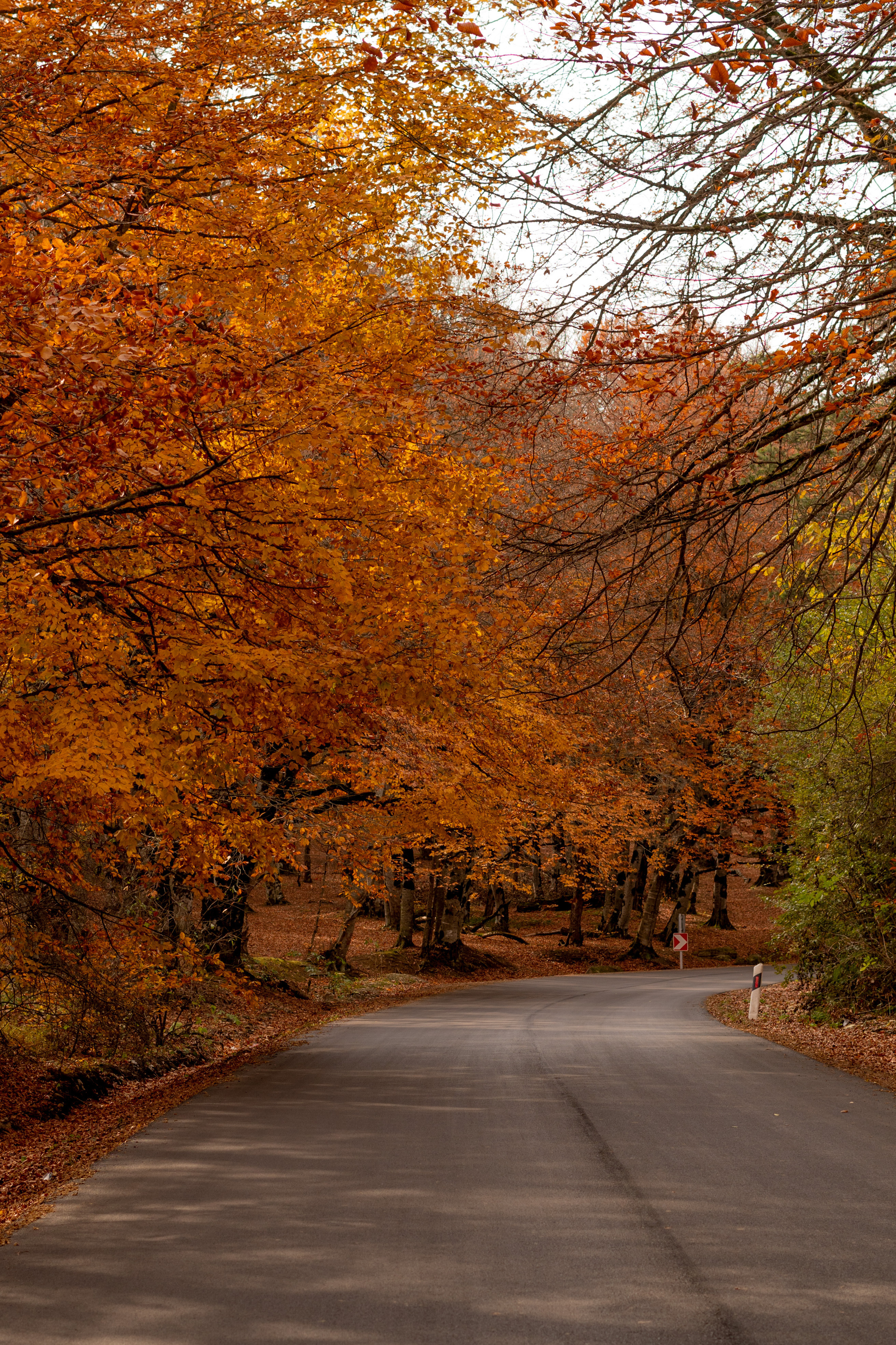 Georgia. VALERIYA ERMOLAEVA PHOTOGRAPHER IN VALENCIA, SPAIN