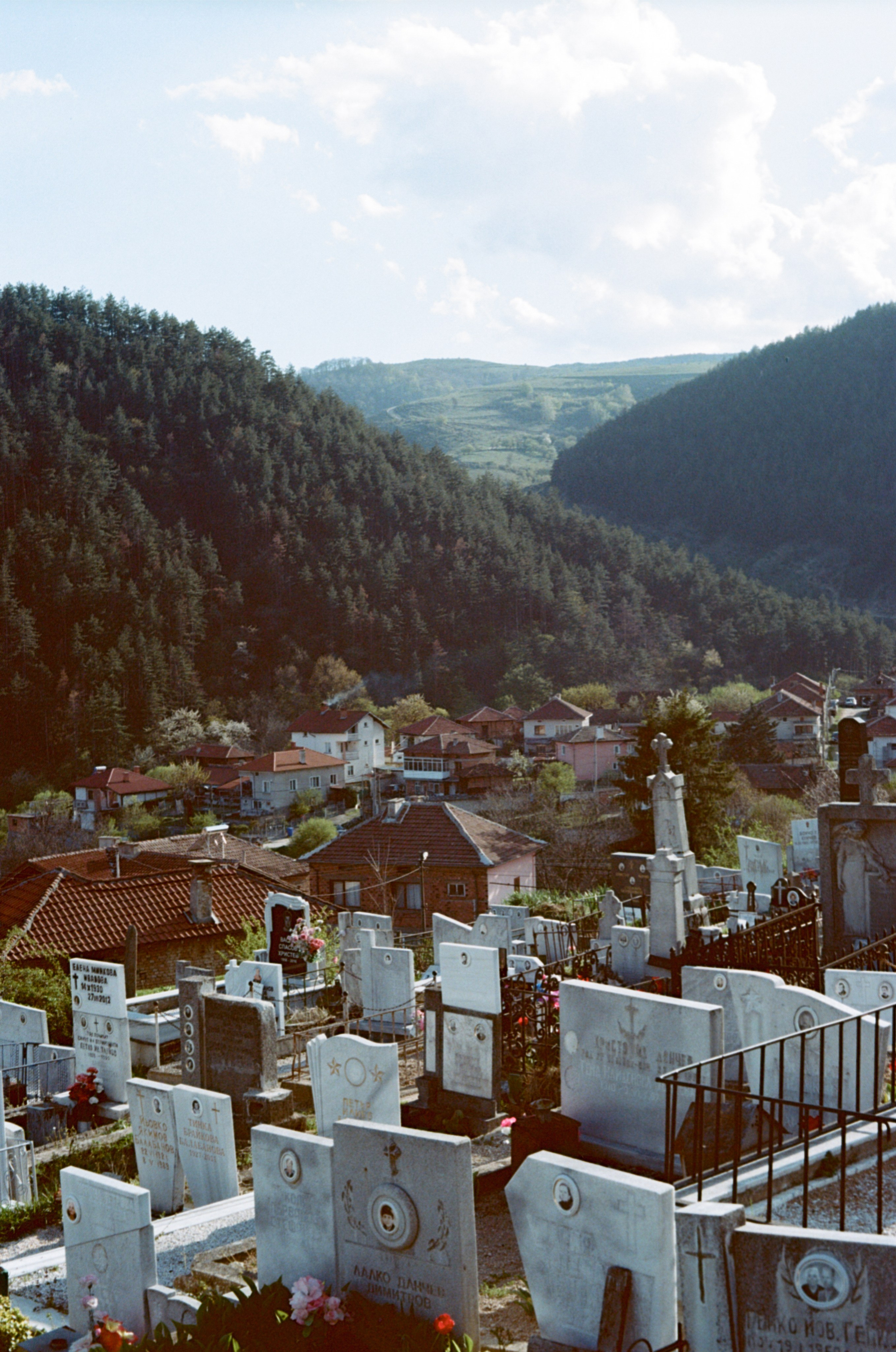 Still Home. Professional Photographer, Videographer in London Dilyana Tankova