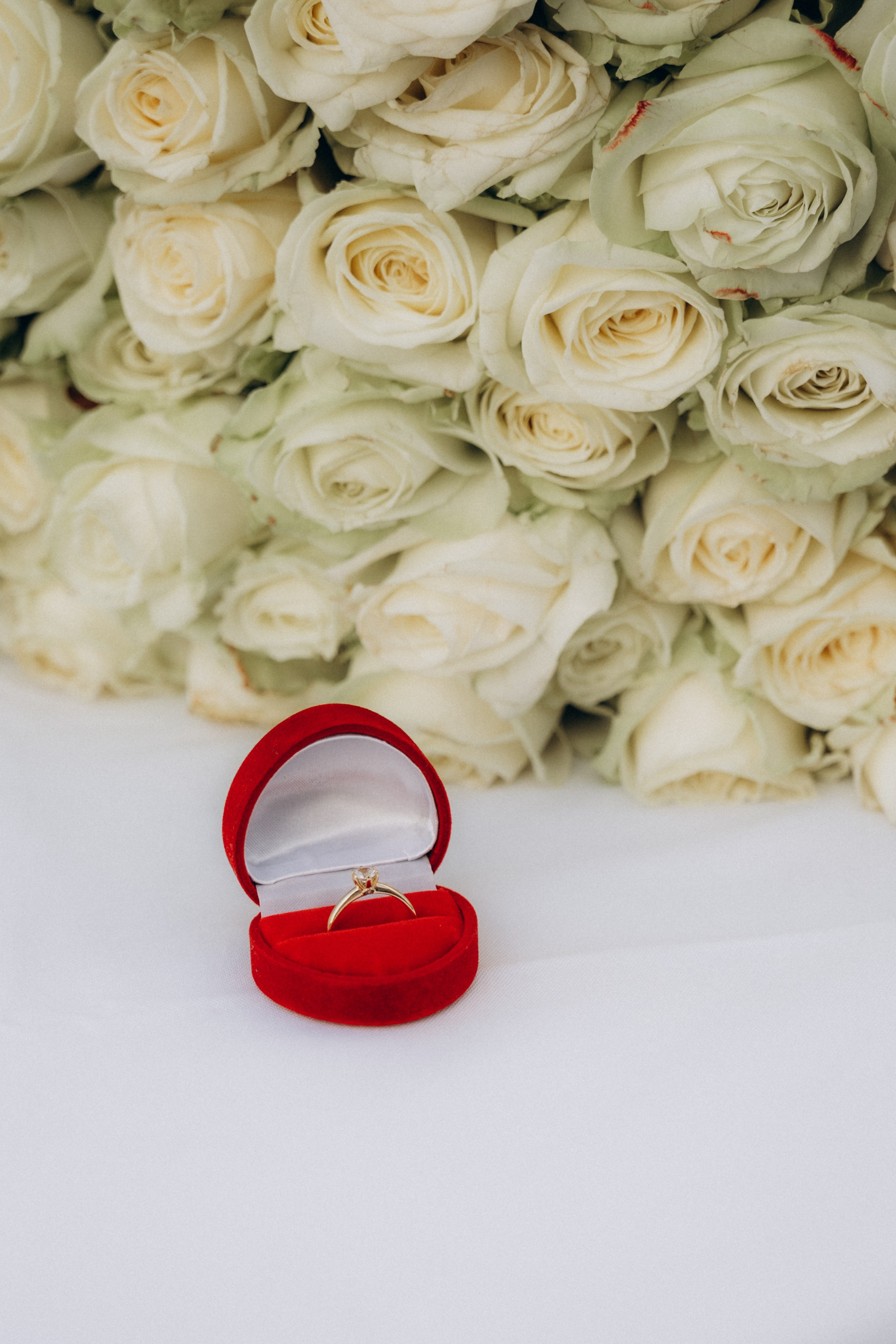 Golden Hour. Fotograf Katowice – sesje indywidualne, rodzinne, ślubne