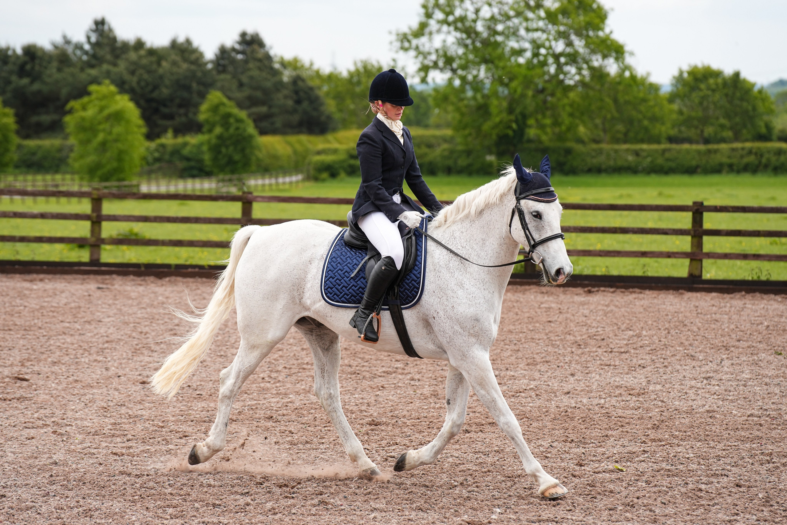 Dressage. Leicestershire Equine Photography by El | Authentic Equine Portraits & Events