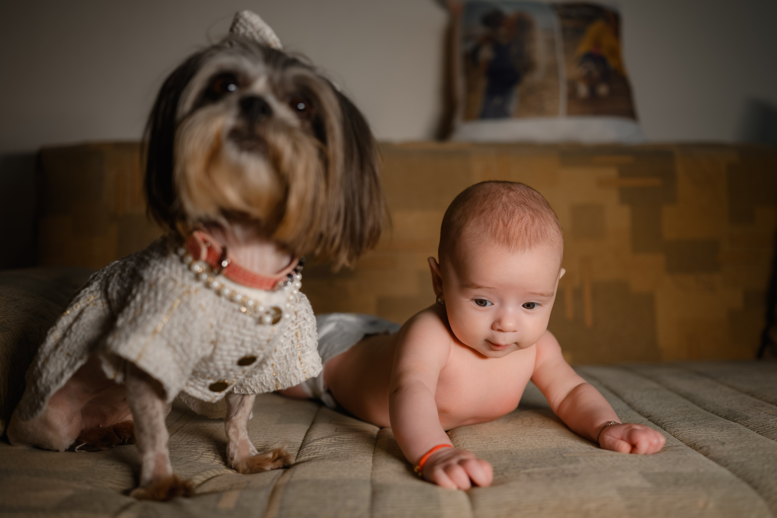 Ariana Giulia. Erik Bagy | Fotograf de Nuntă