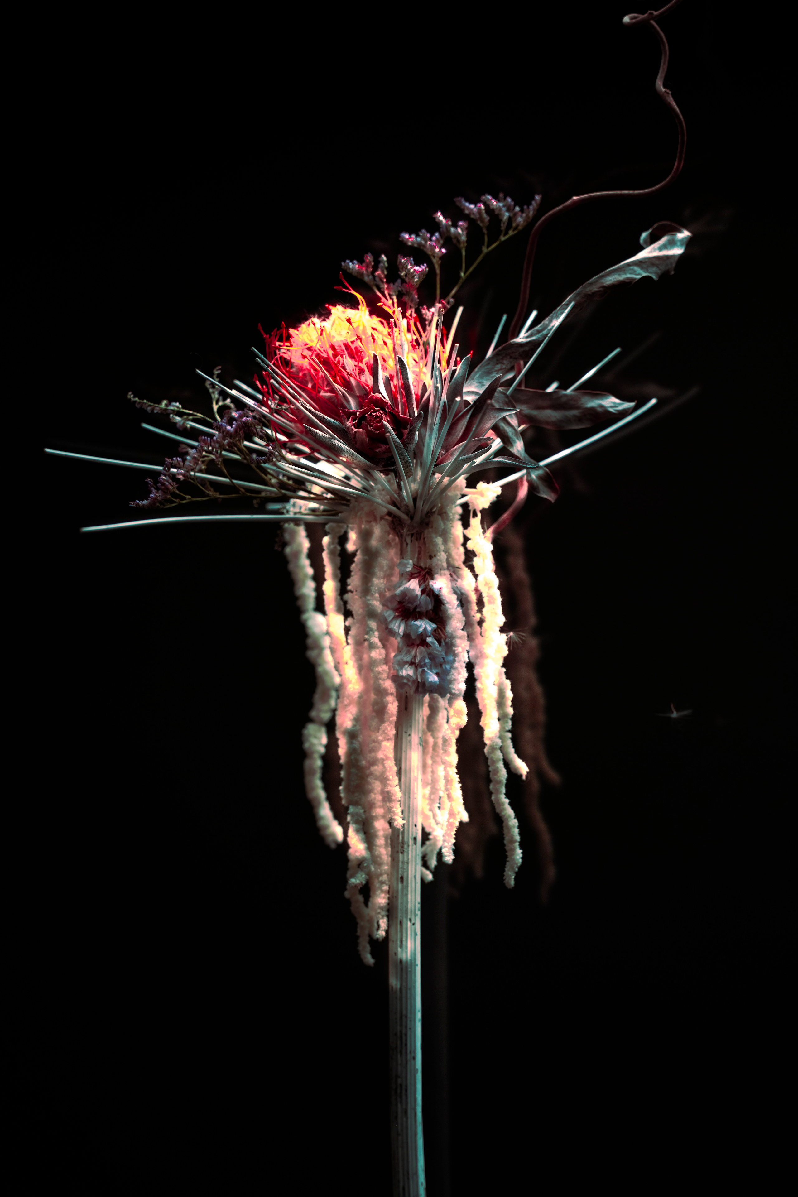 “HK FLOWERZ” FLOWER CAMPAIGN. Anna Omni — concept photographer and digital artist in Riga, Latvia