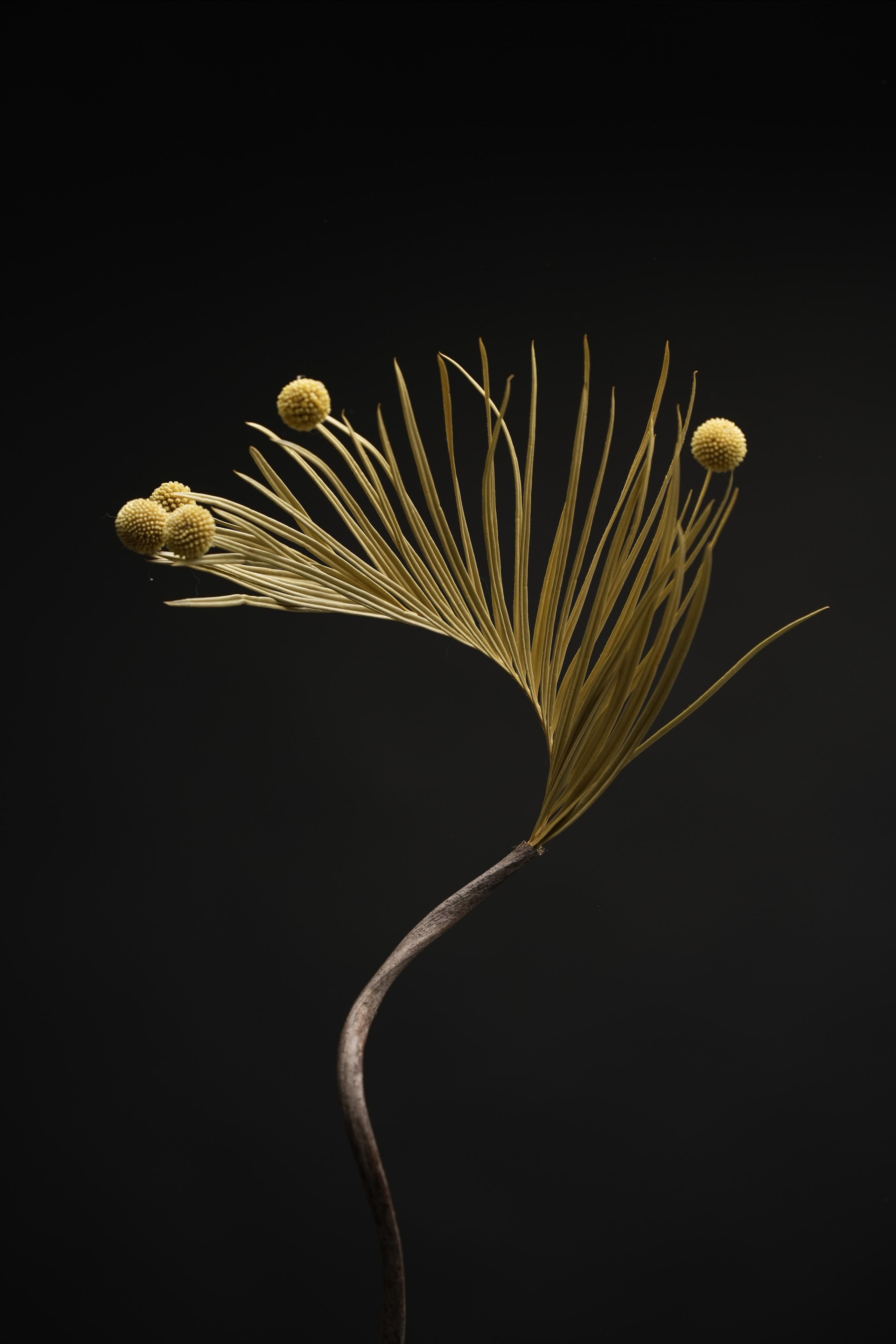 PORTFOLIO. Anna Omni — concept photographer and digital artist in Riga, Latvia