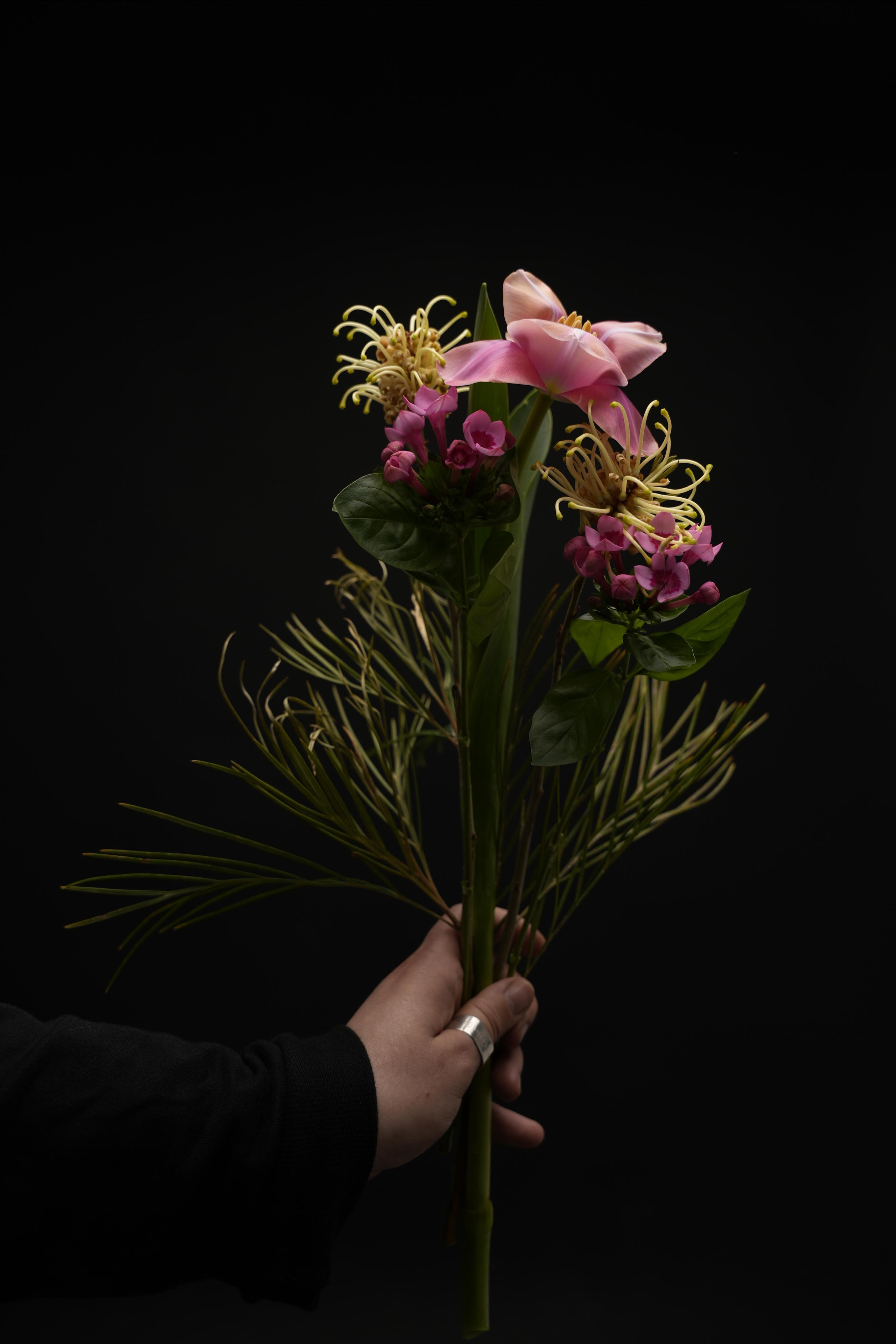 PORTFOLIO. Anna Omni — concept photographer and digital artist in Riga, Latvia