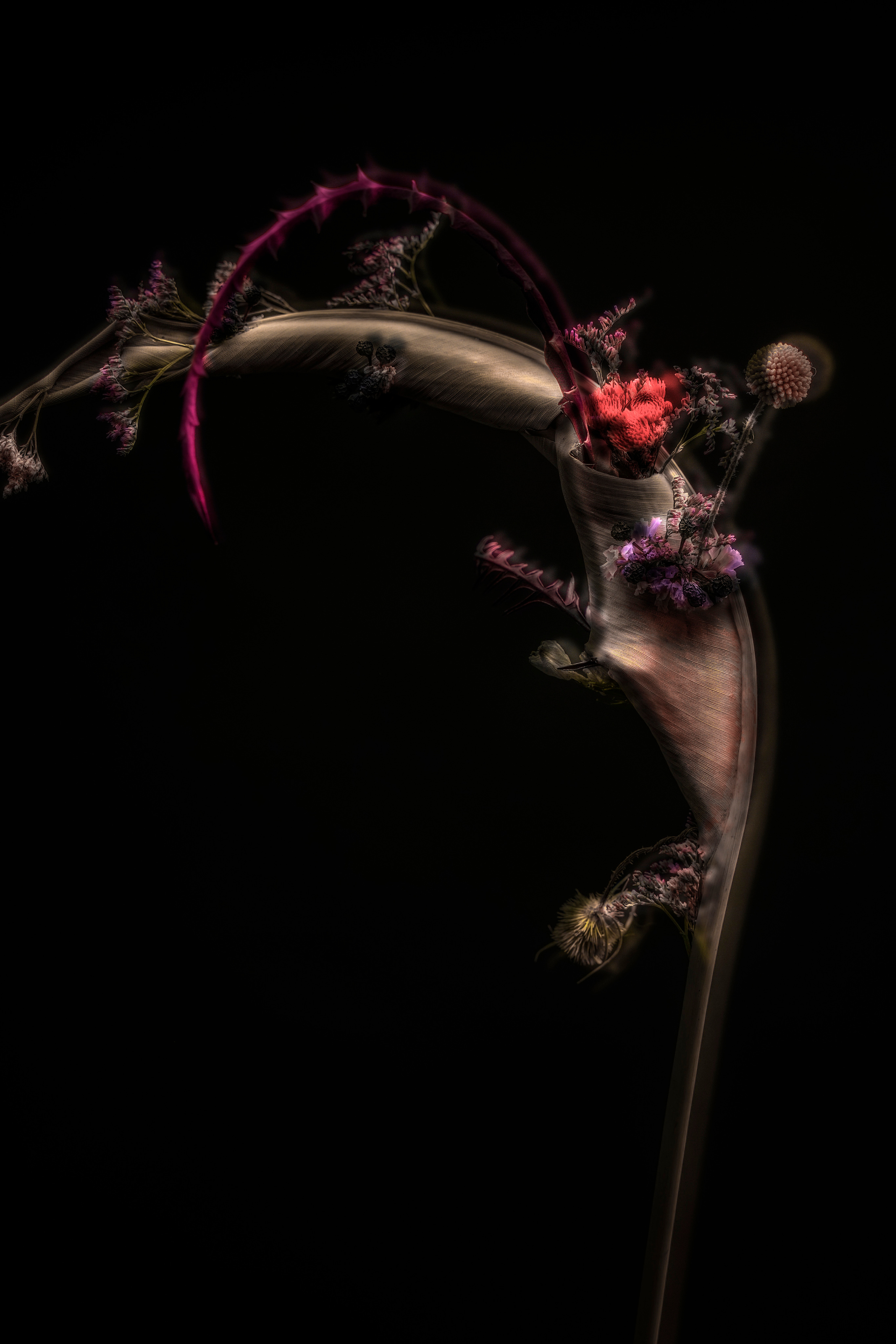 “HK FLOWERZ” FLOWER CAMPAIGN. Anna Omni — concept photographer and digital artist in Riga, Latvia