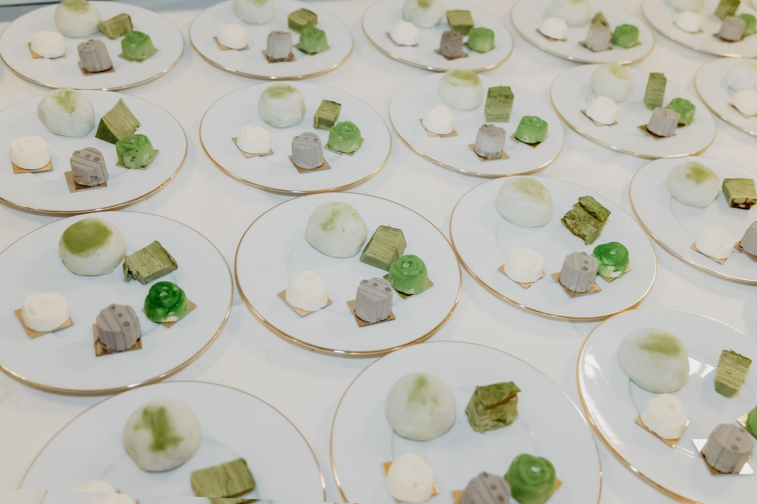 Tayna & Caster. Photographer in Paris