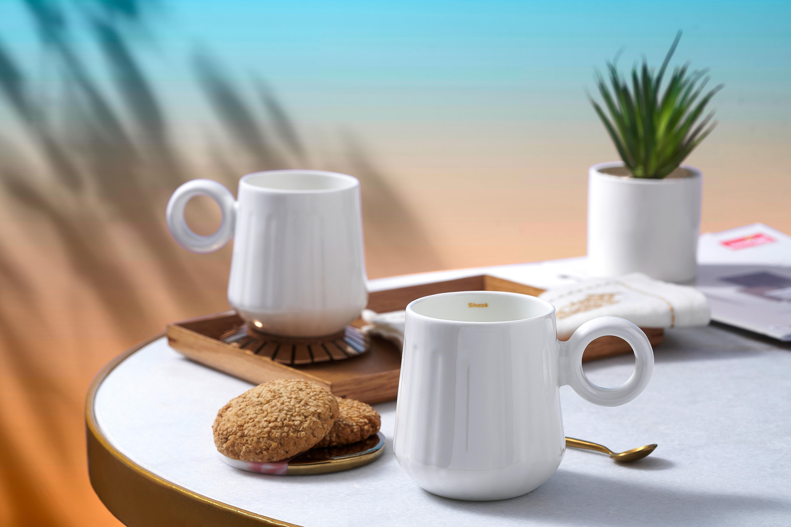 Mohit Holani | Director