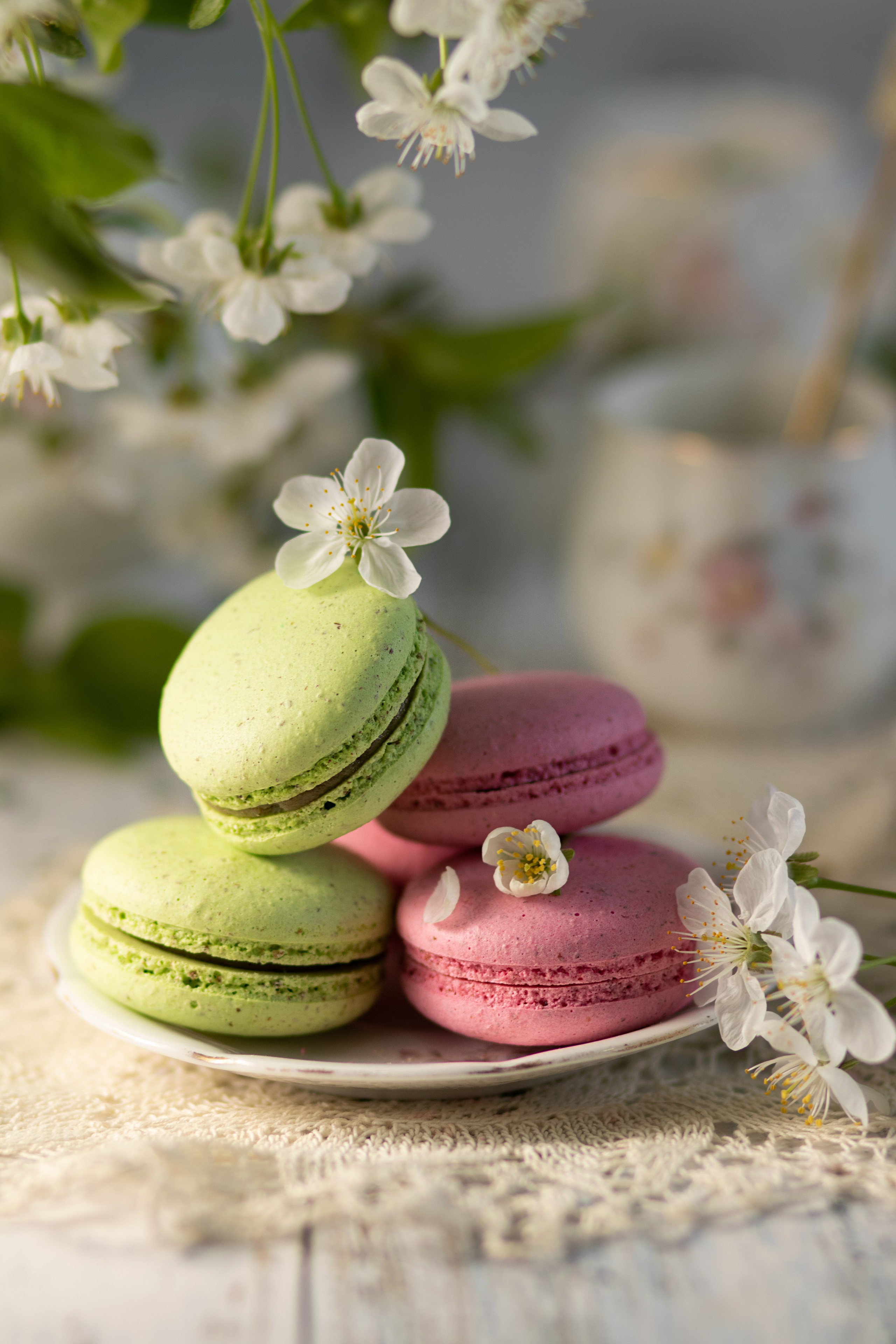 Фуд съемка. Семейный и рекламный фотограф в Ташкенте Мария Кудрявцева