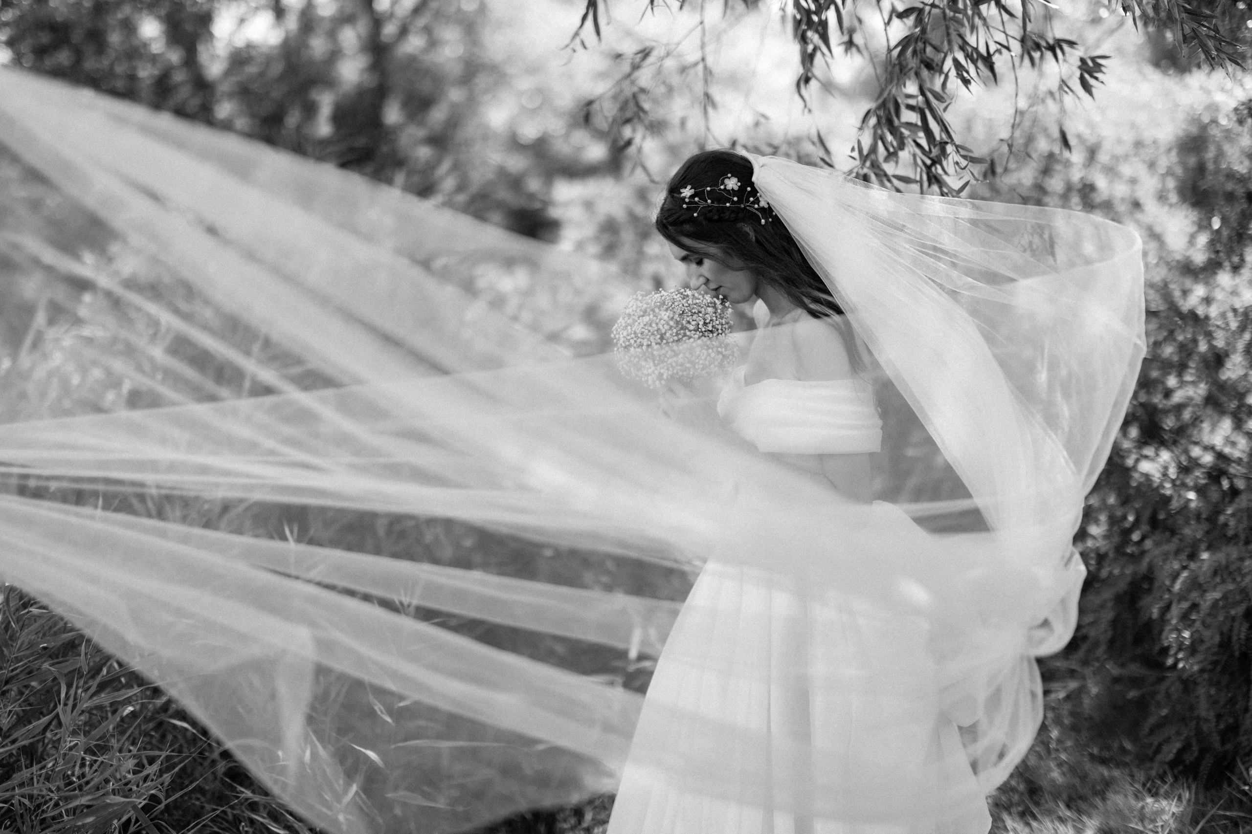 Photography. Alexandar weddings: Home