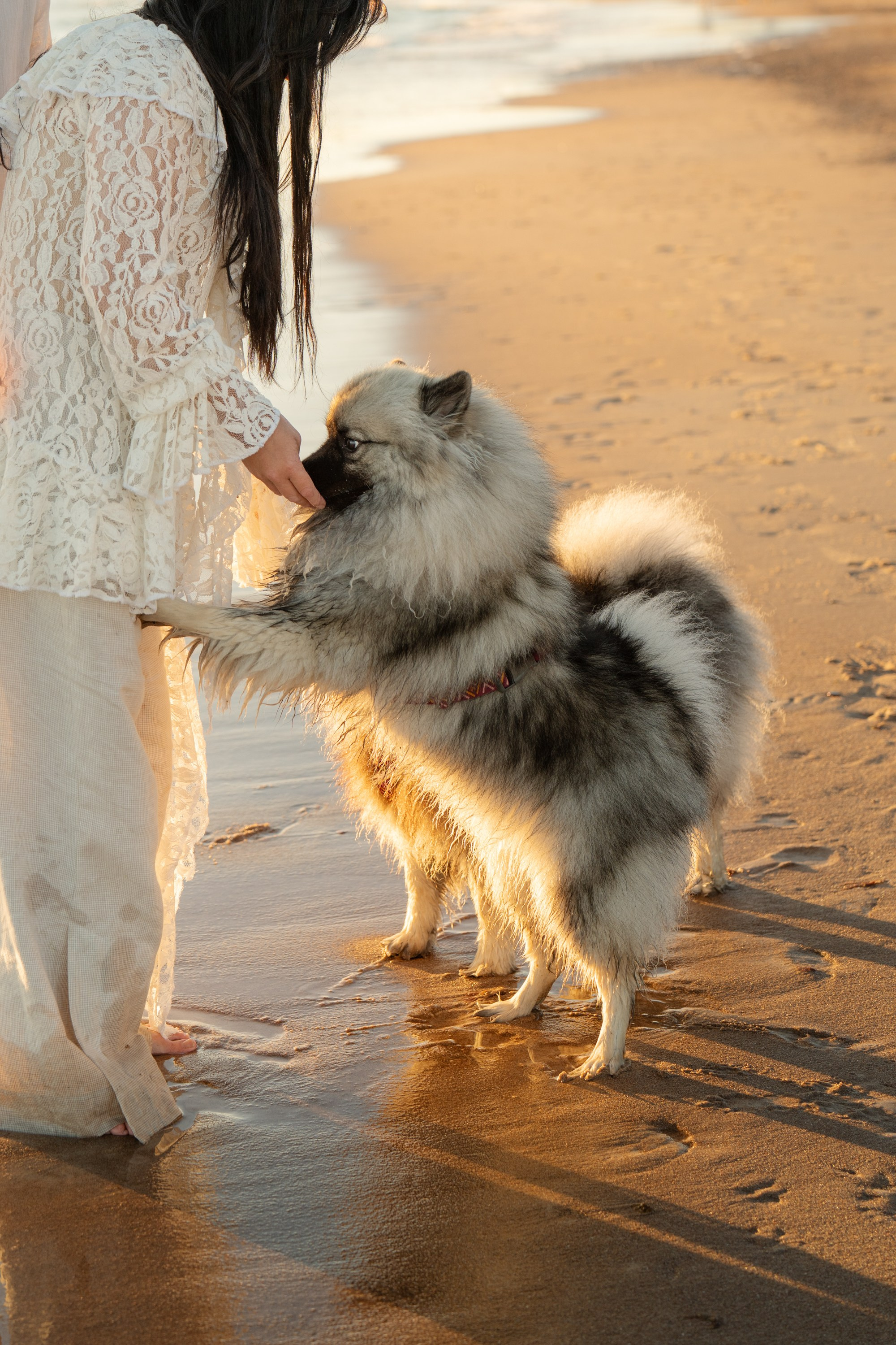Rūta, Mindaugas, Yuma ir Meila. Vita Klimaševska ○ Fluffy Soulmate Photography