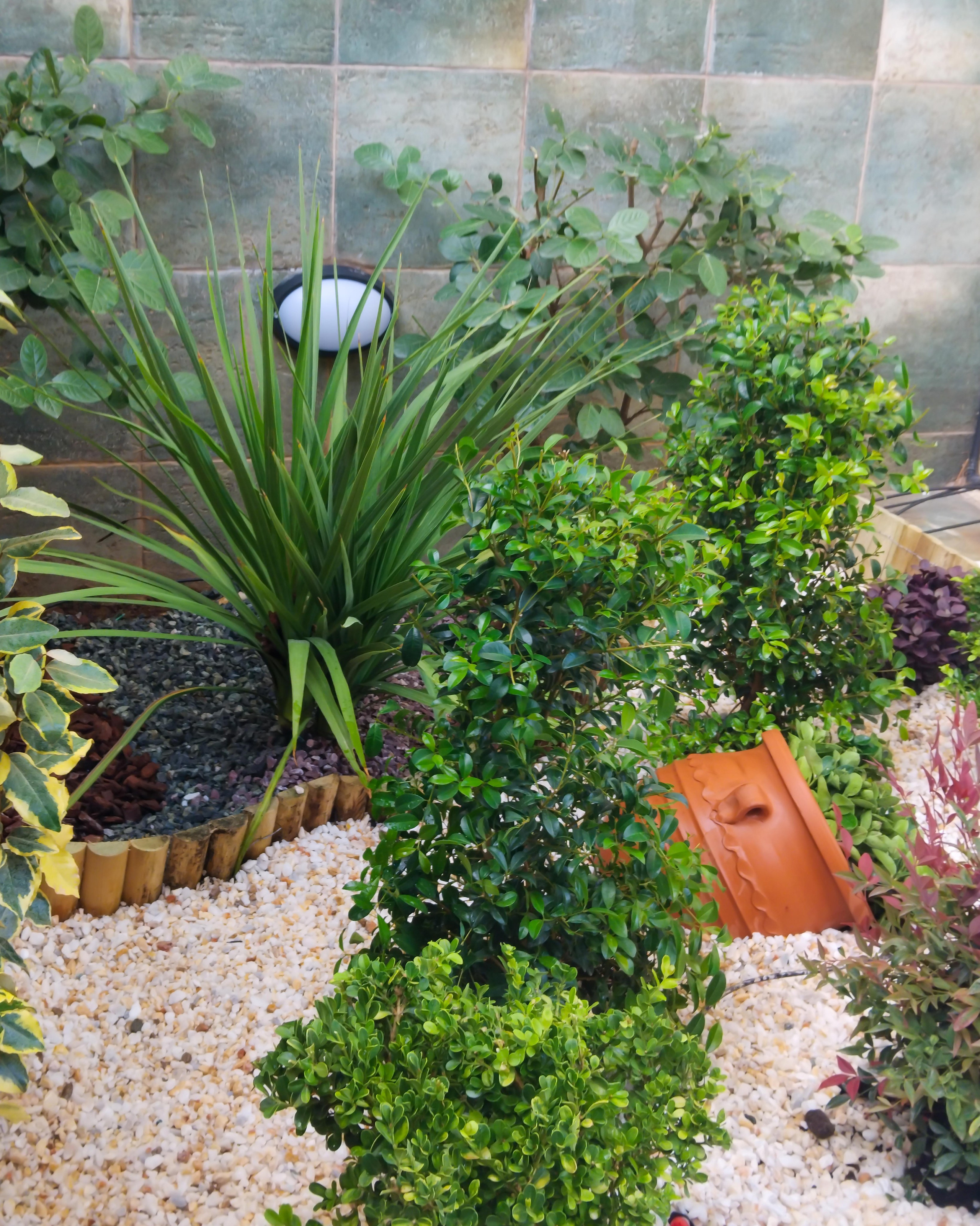 Κήπος Κερατσίνι. Geoponitikon-Όταν η Επιστήμη συναντά την Τέχνη στο Φυσικό Τοπίο!