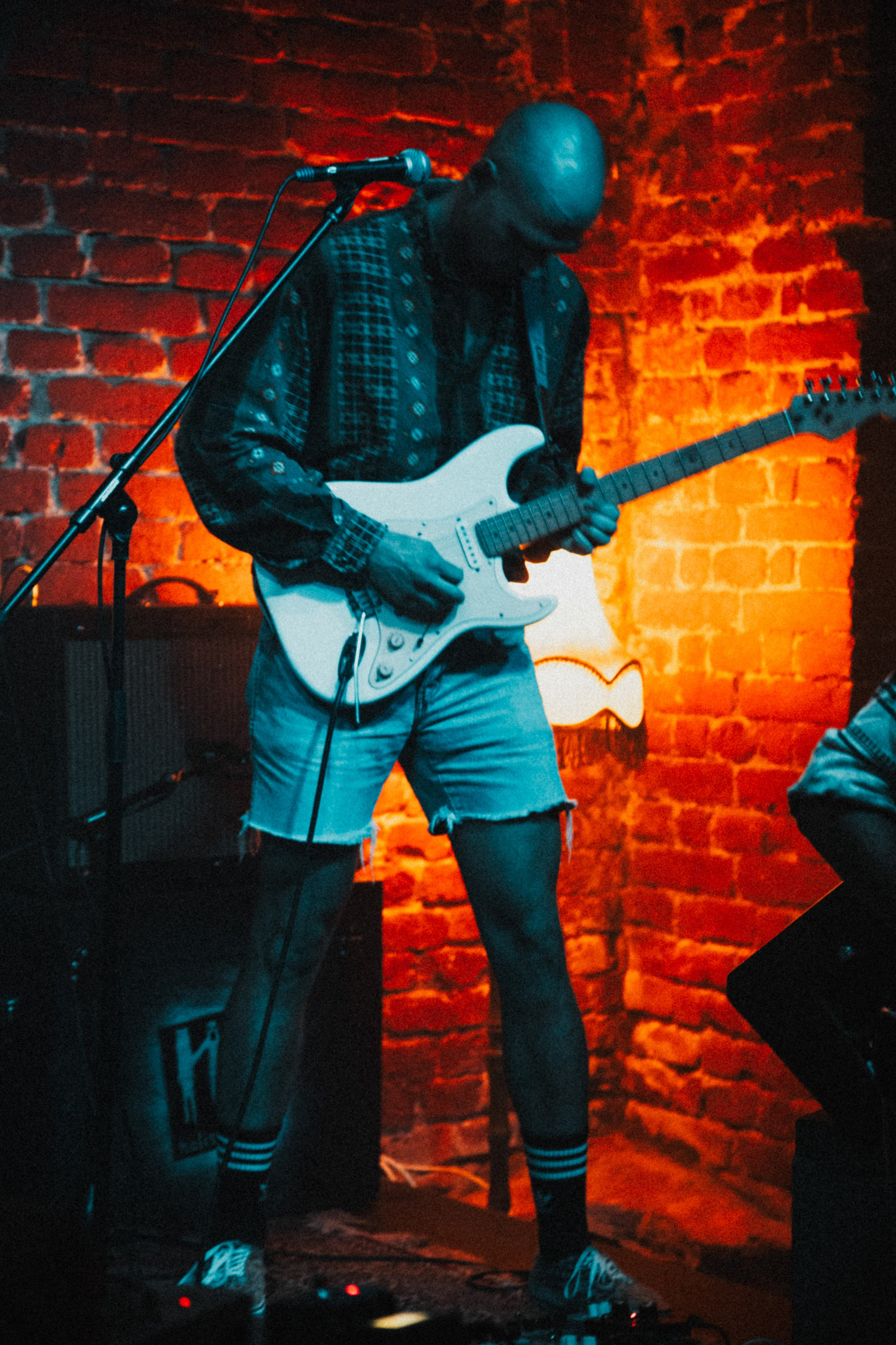 LUBBER LOUIE. Photo by lenozavra