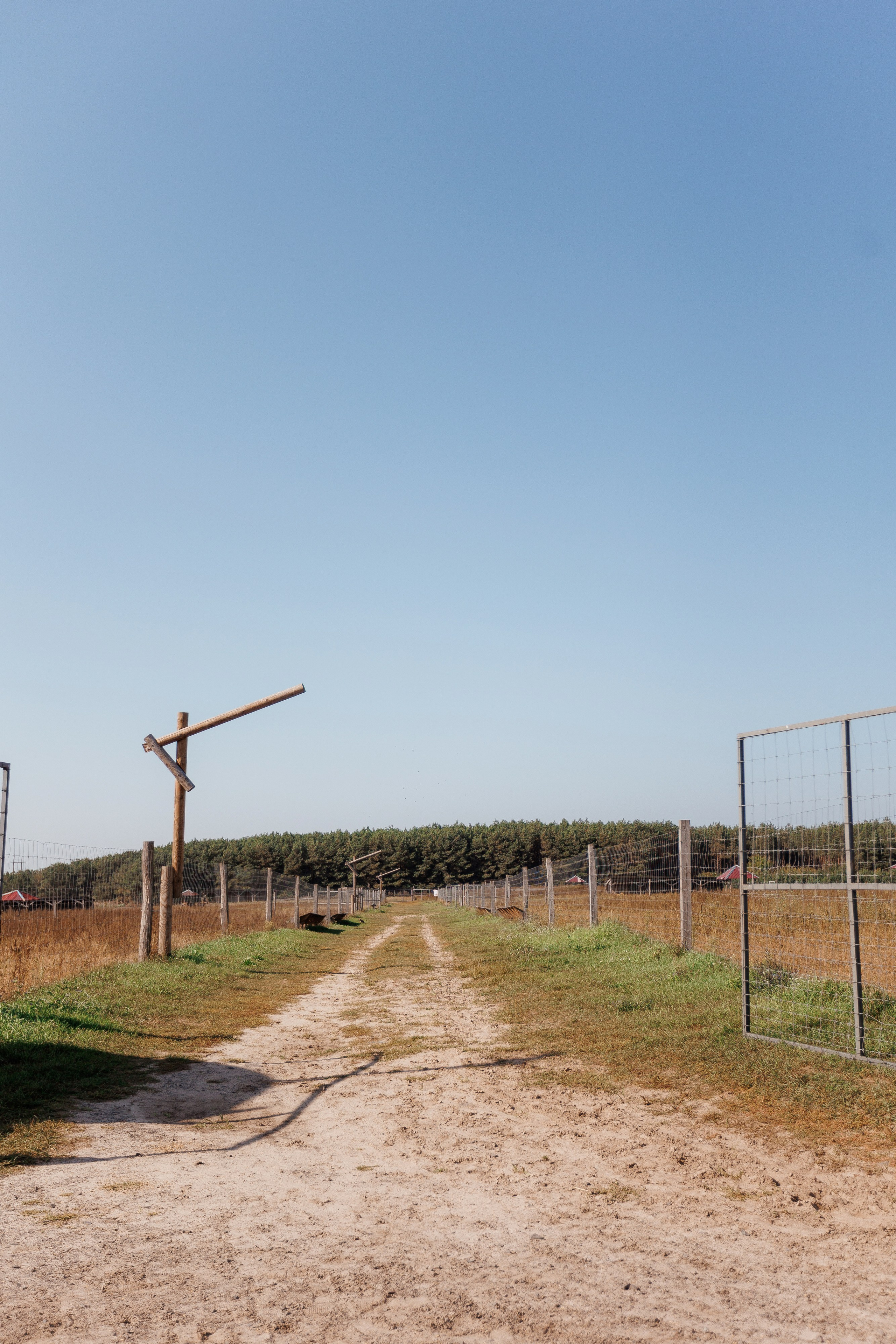 Екопарк Аміла. Ірина Терещук