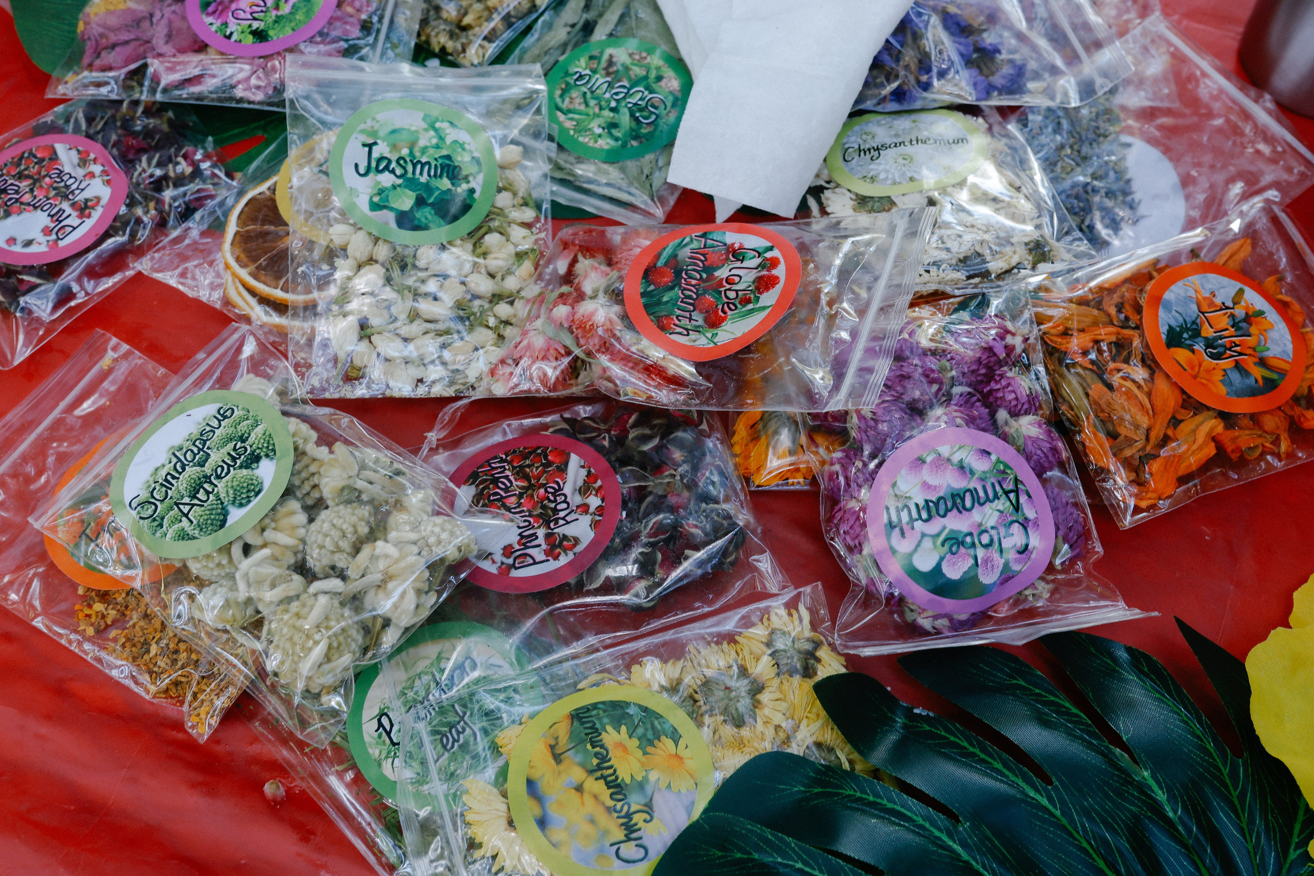 Teens Camp 07-19-25. Smirna Christian Church