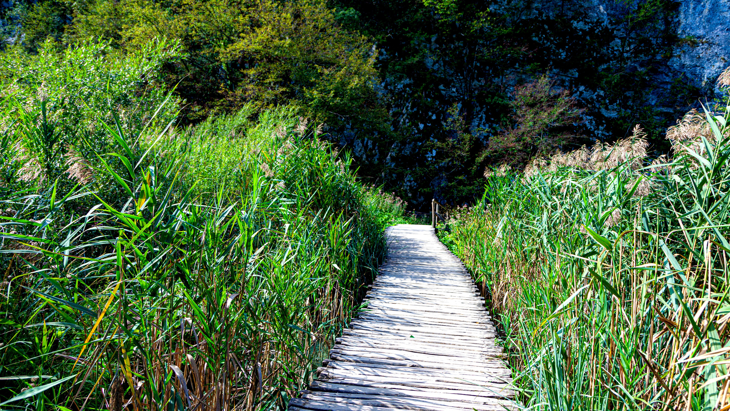 161.Plitvice lakes.17.9.2023. Путешествия в формате 360......