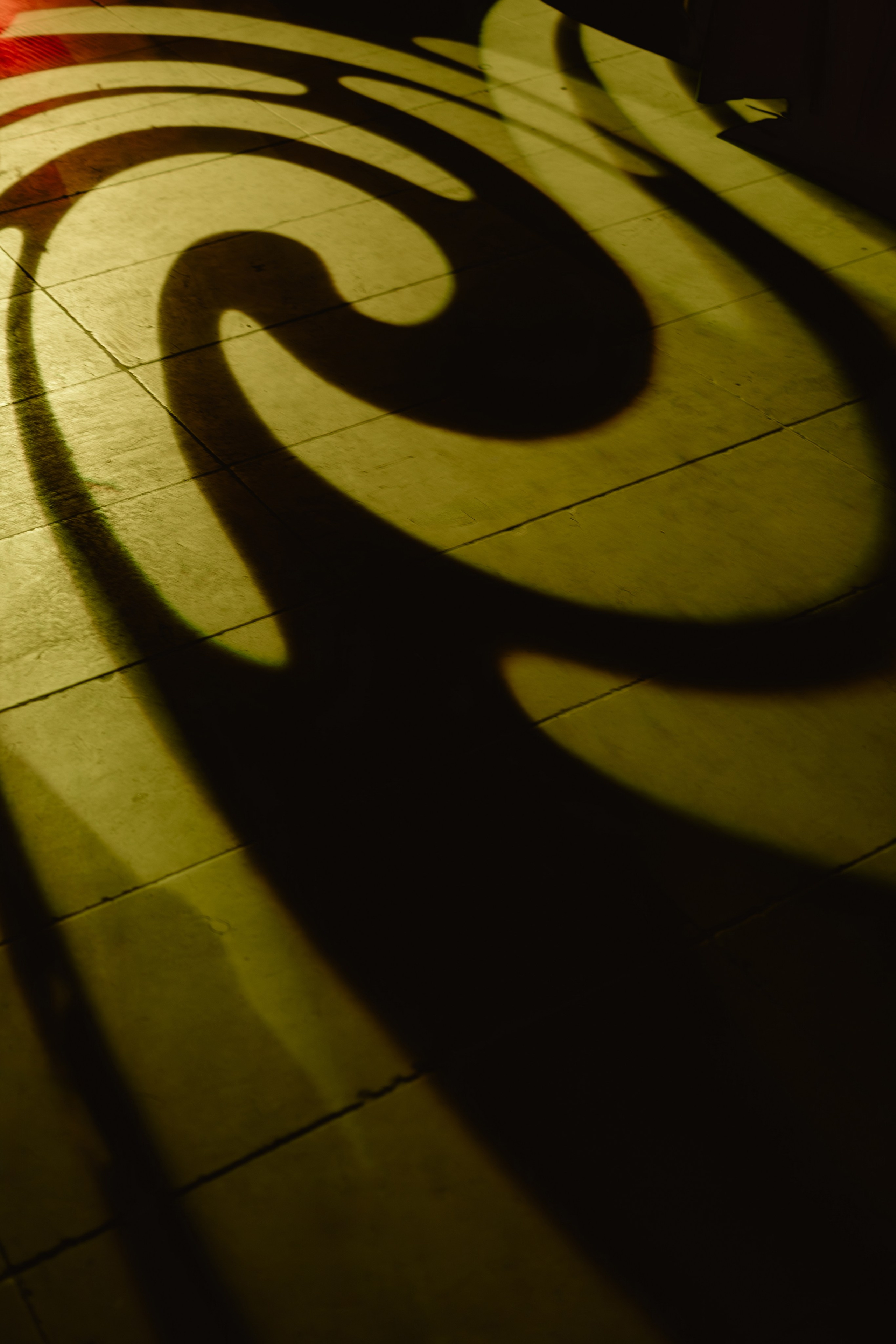 Ninutsa & Irakli. Photographer Anna Nazarenko