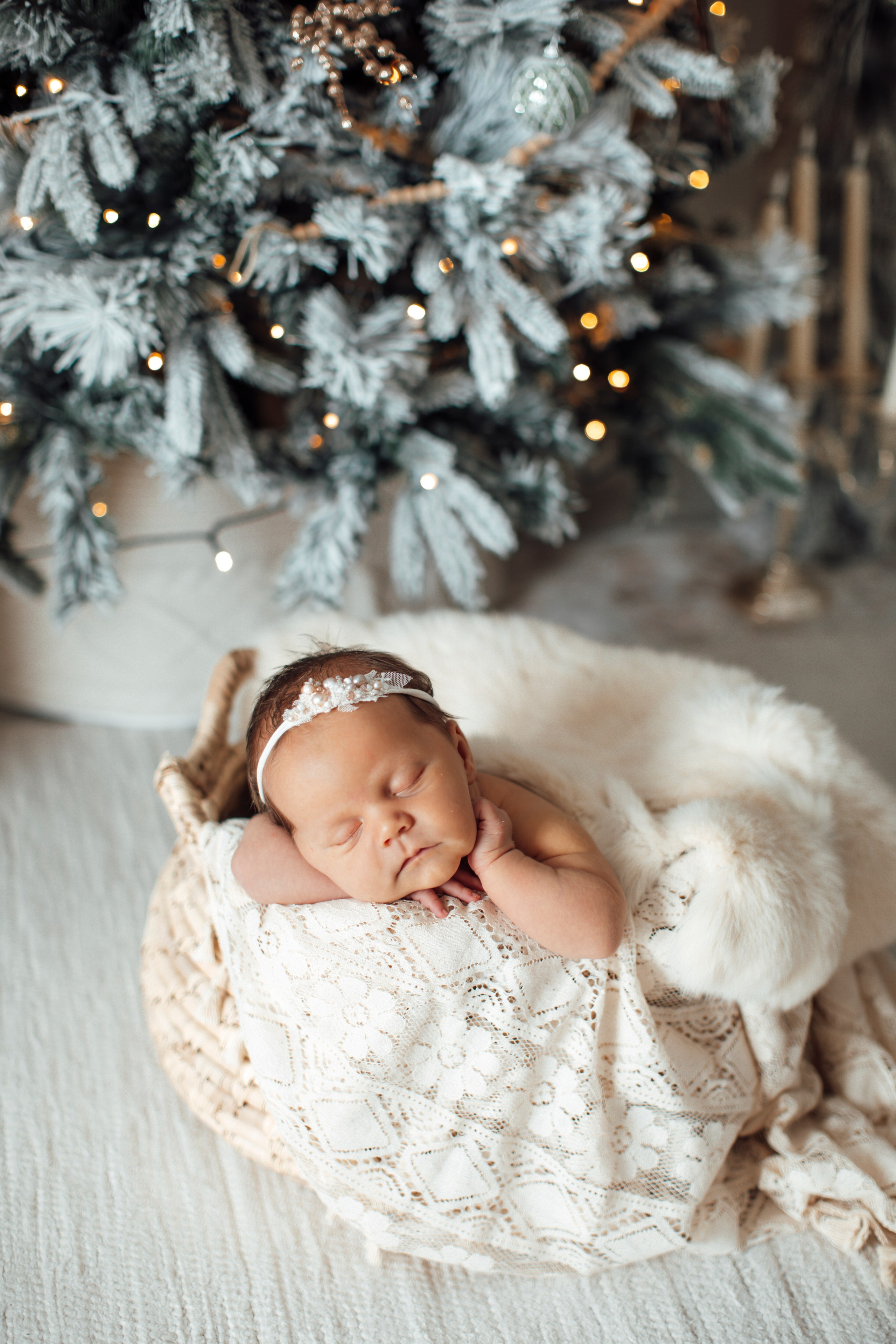 Julfotografering 2025🎄🎄🎄. Axlundphotography.se