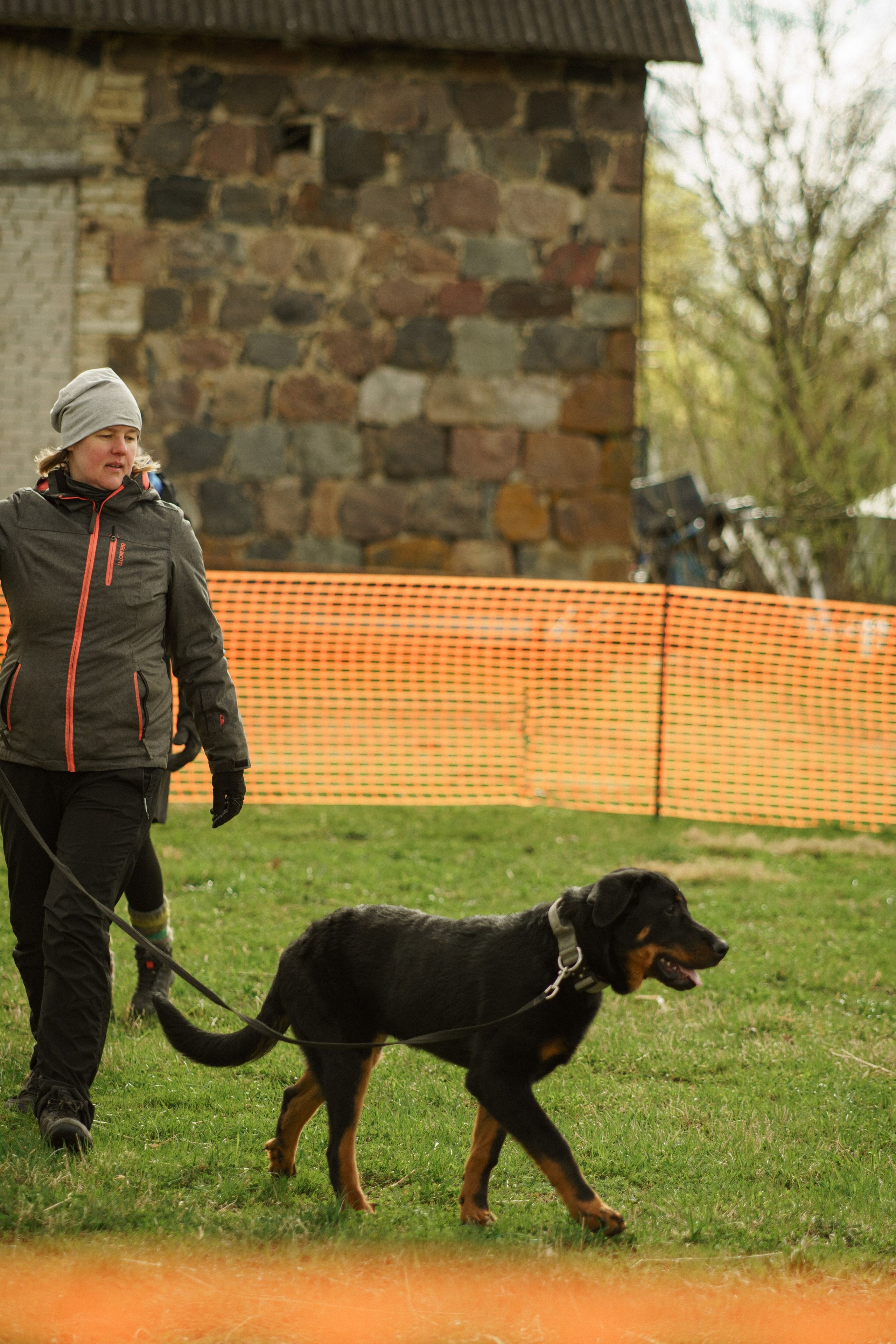 Herding Days, 26 apr. 2025. Kat Laisaar — Pet photographer in Tallinn