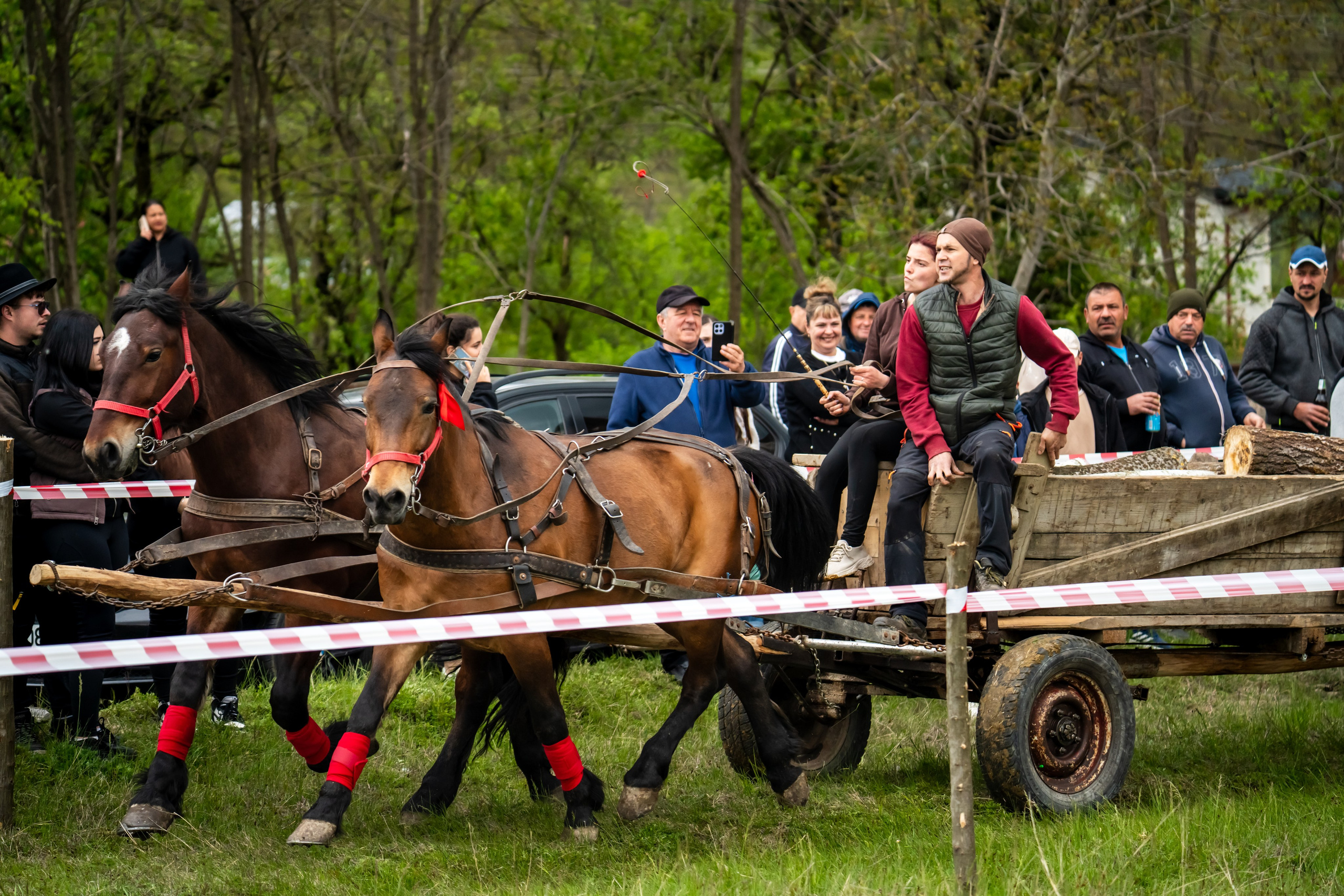 Concurs Ecvestru Vărbilău ediția a 4-a. Mihai Alexandra Events
