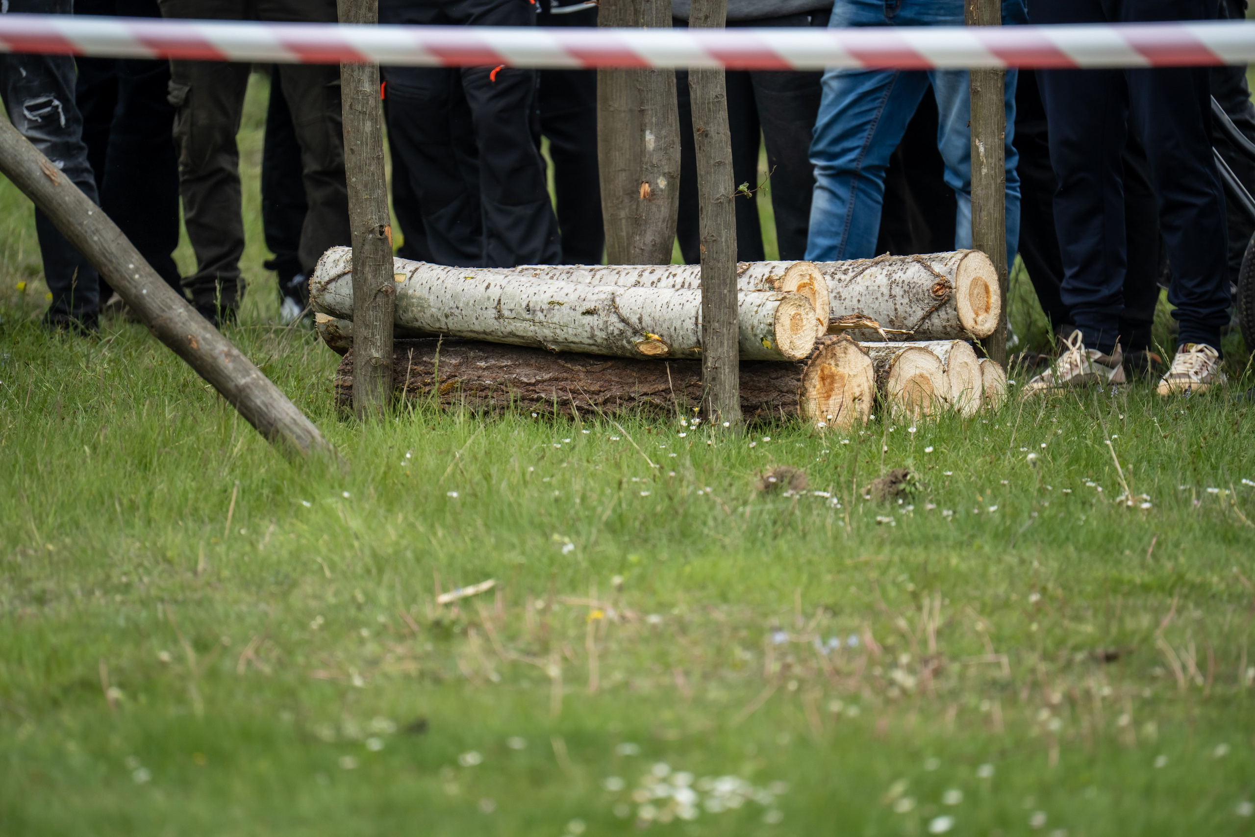 Concurs Ecvestru Vărbilău ediția a 4-a. Mihai Alexandra Events