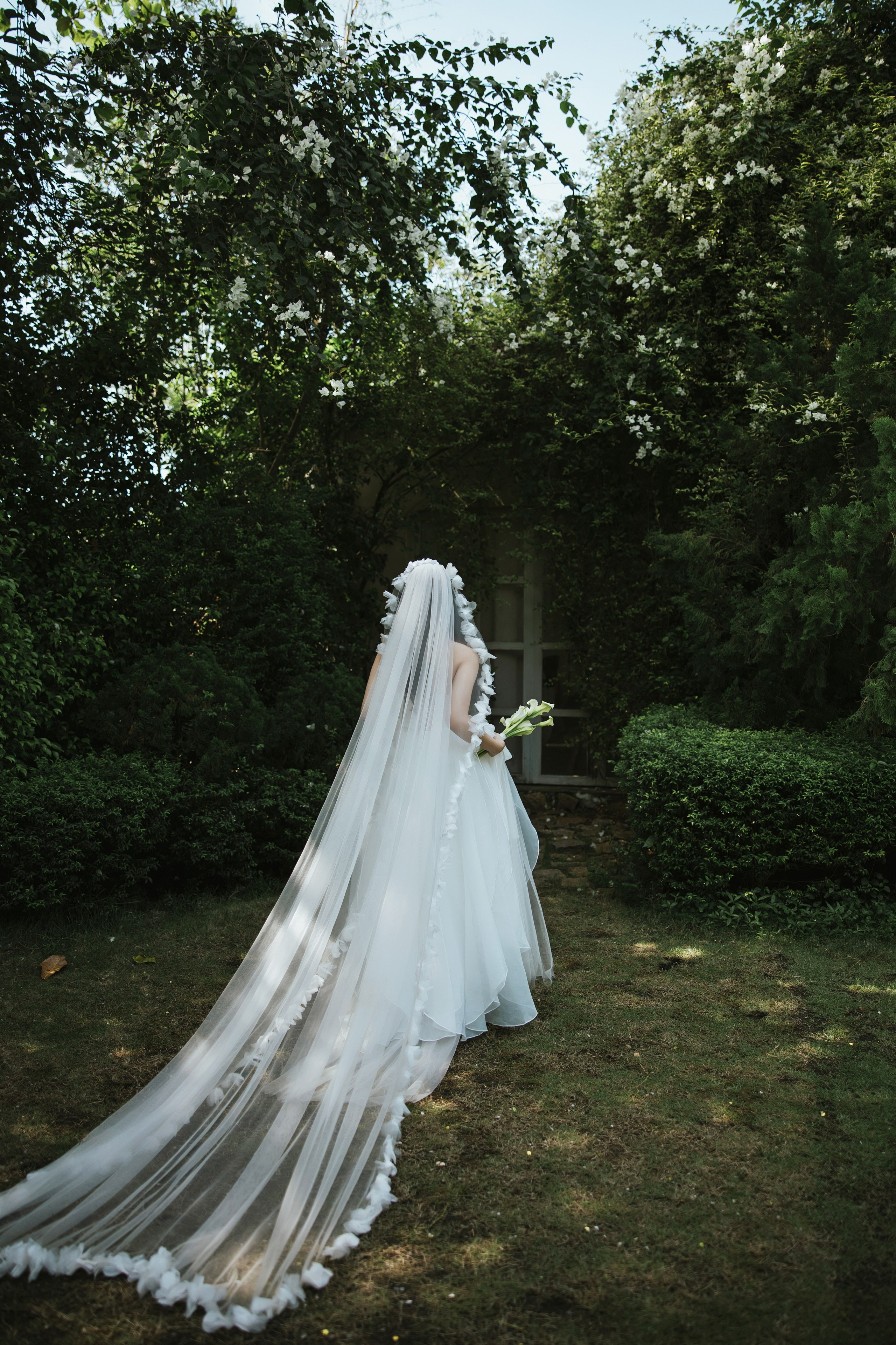 D&T JARDIN de ROOM. Anns wedding photography