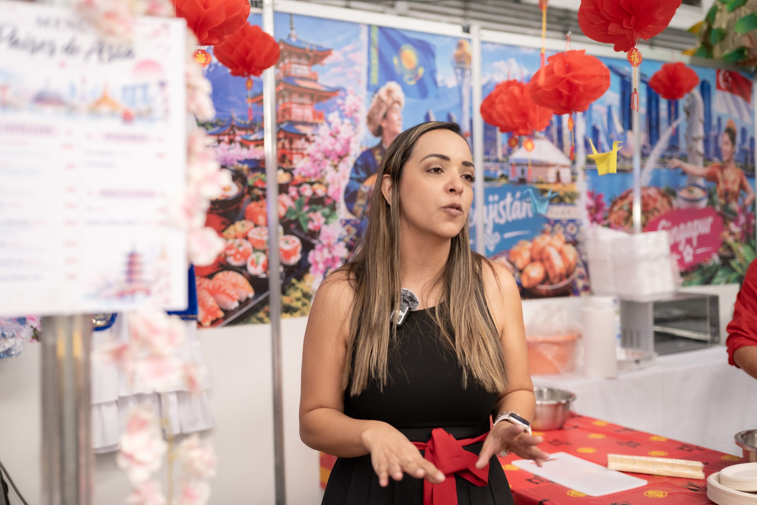 13th INTERNATIONAL FESTIVAL GREENVILLE. Rocke fotografo