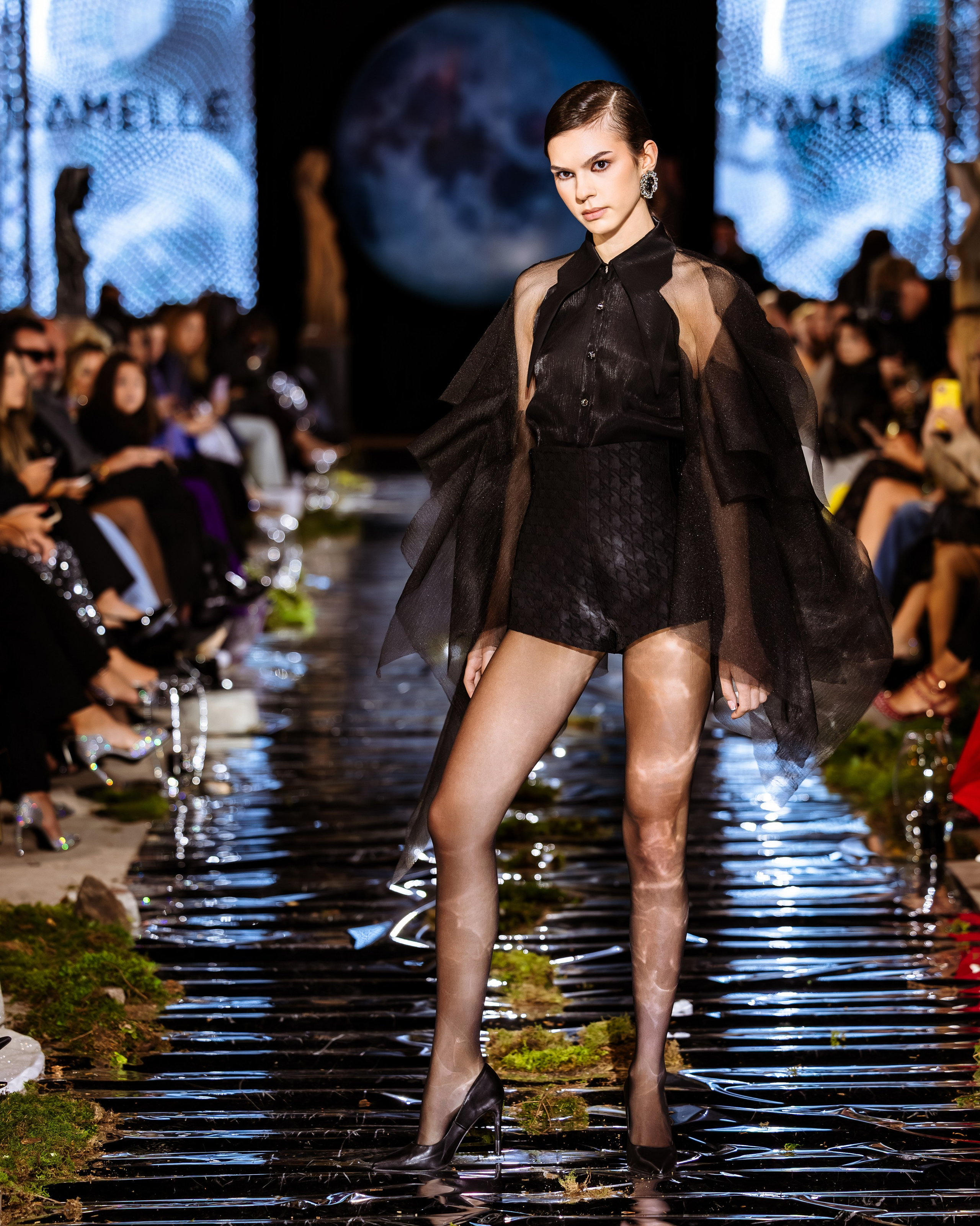 Prive. Marius Ciocan