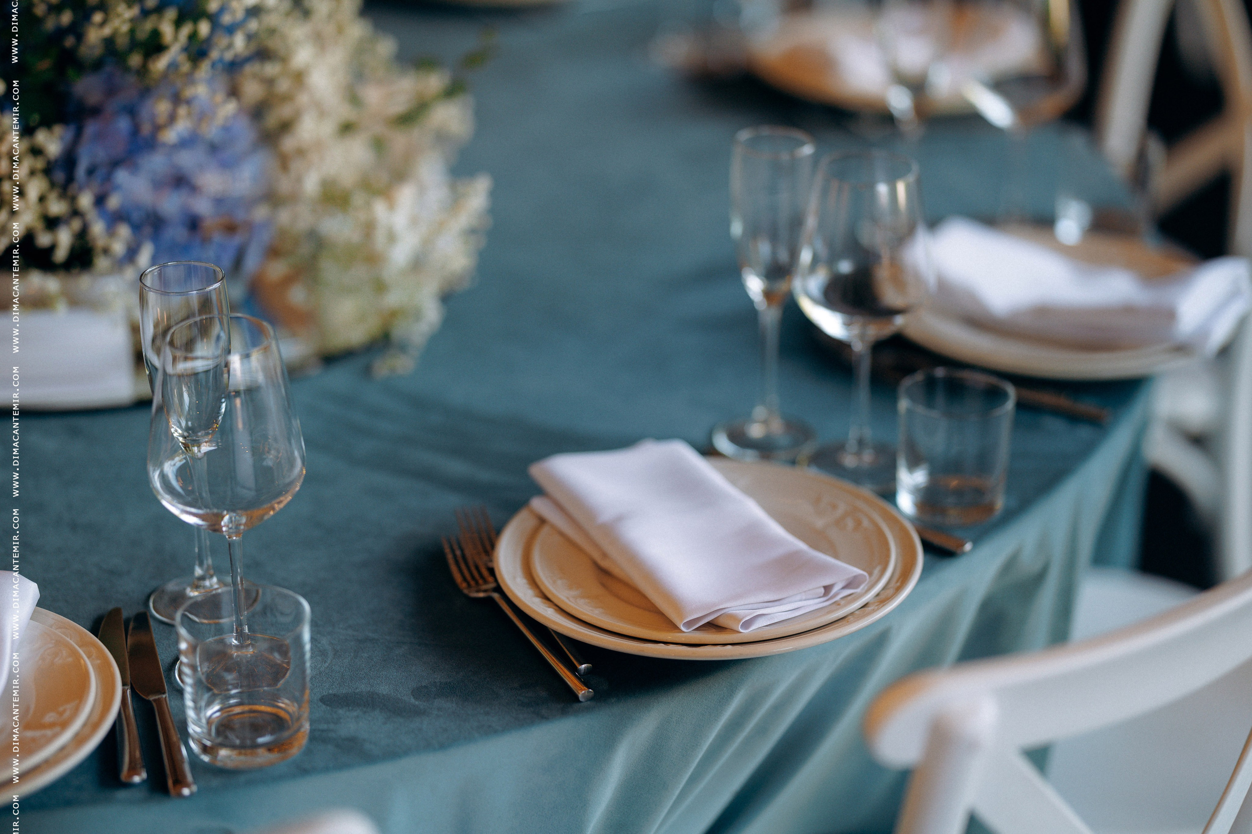 ION + DANA | VILA DRAGO. Fotograf de nuntă în Chisinau, Moldova. Poze și Video Comerciale