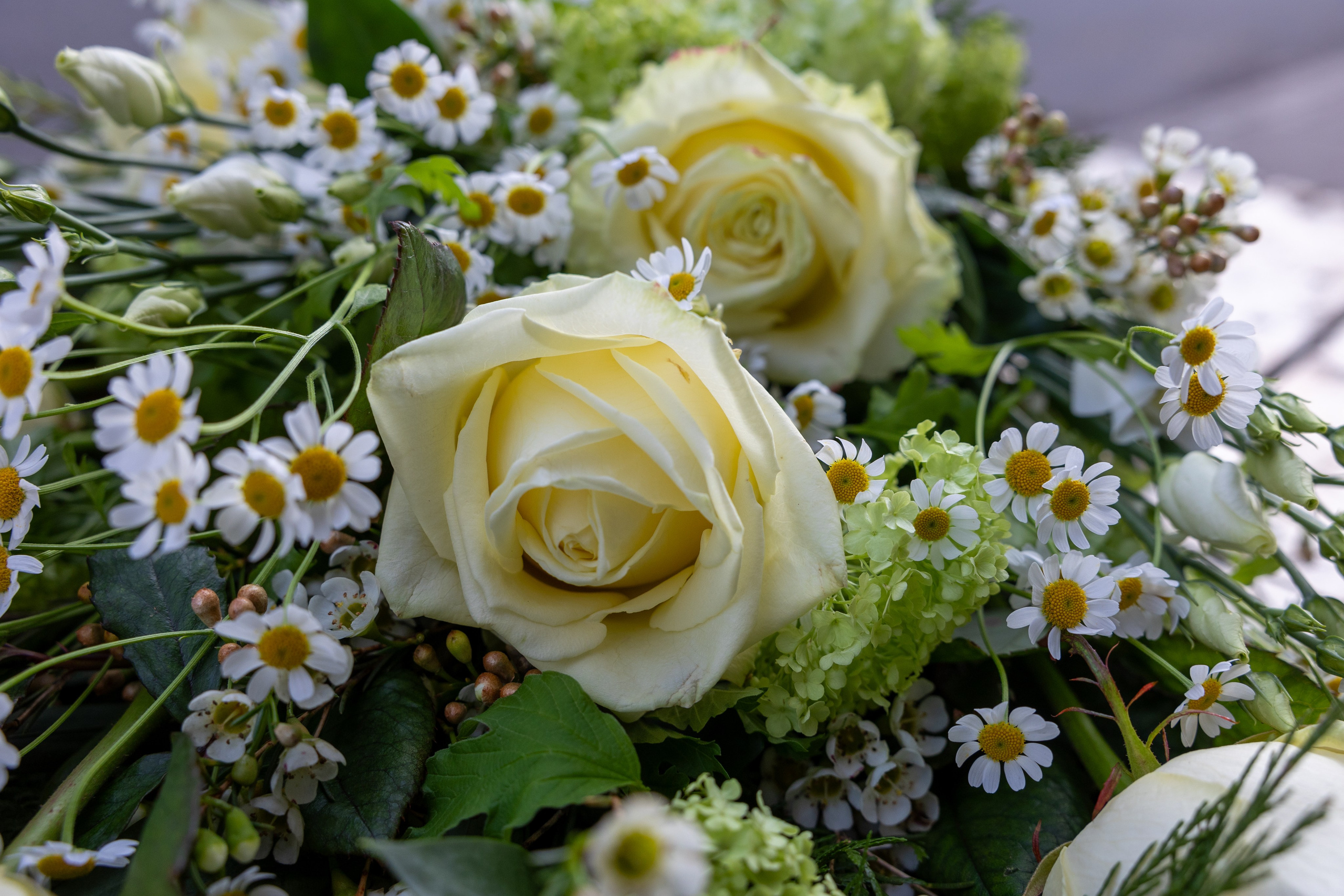 En elegant bårebuket, hvor blomsterne er smukt bundet liggende. Buketten kombinerer hvide og lyse nuancer, hvilket skaber en smuk sidste hilsen, der fremstår elegant på kirkegulvet i enhver sæson.