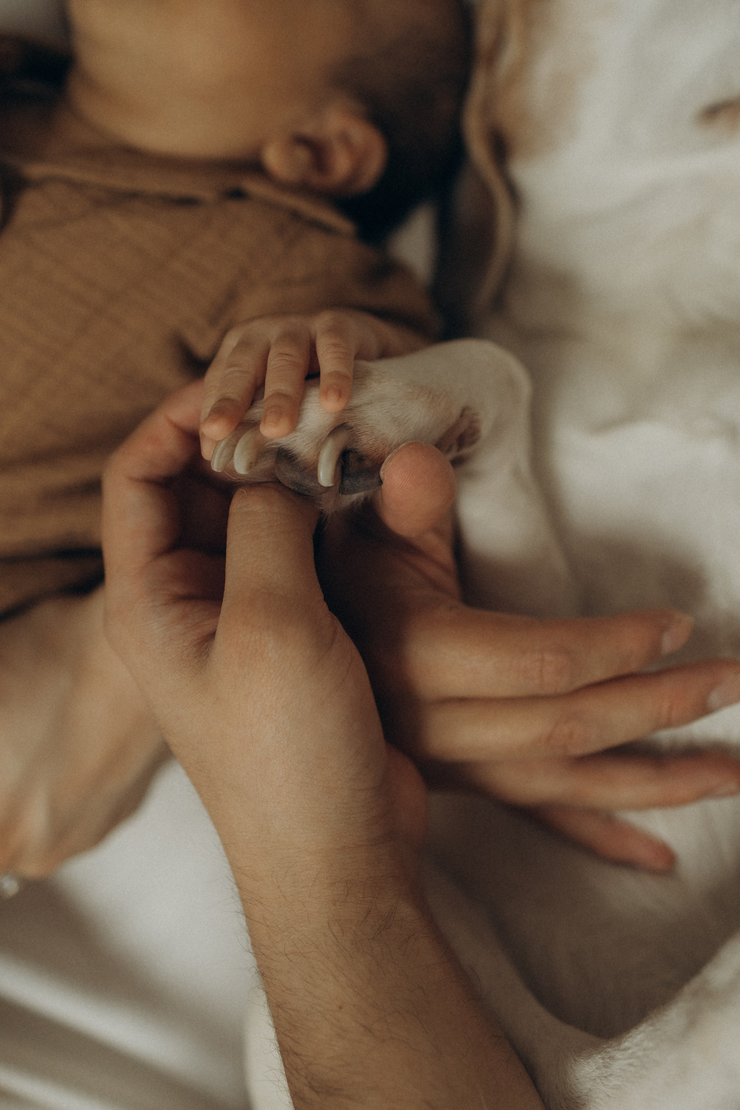 When Rafael was born. Photographer in Milton Keynes, Northampton & London — Wedding, Family & Portrait Photography