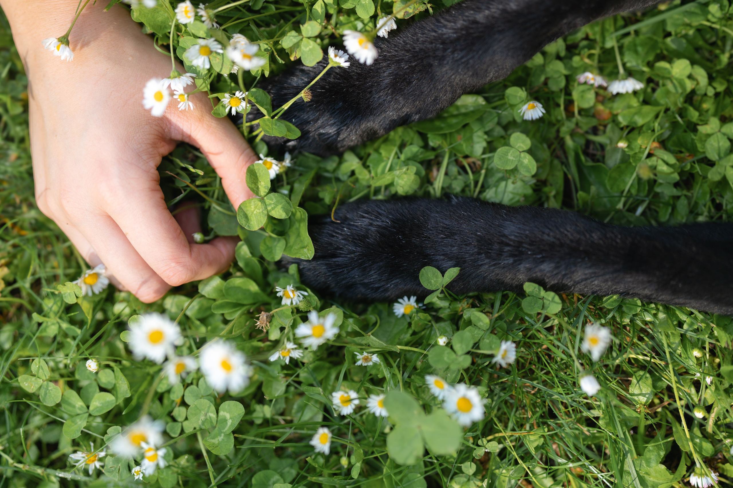 Skaistė ir Beta. Vita Klimaševska ○ Fluffy Soulmate Photography
