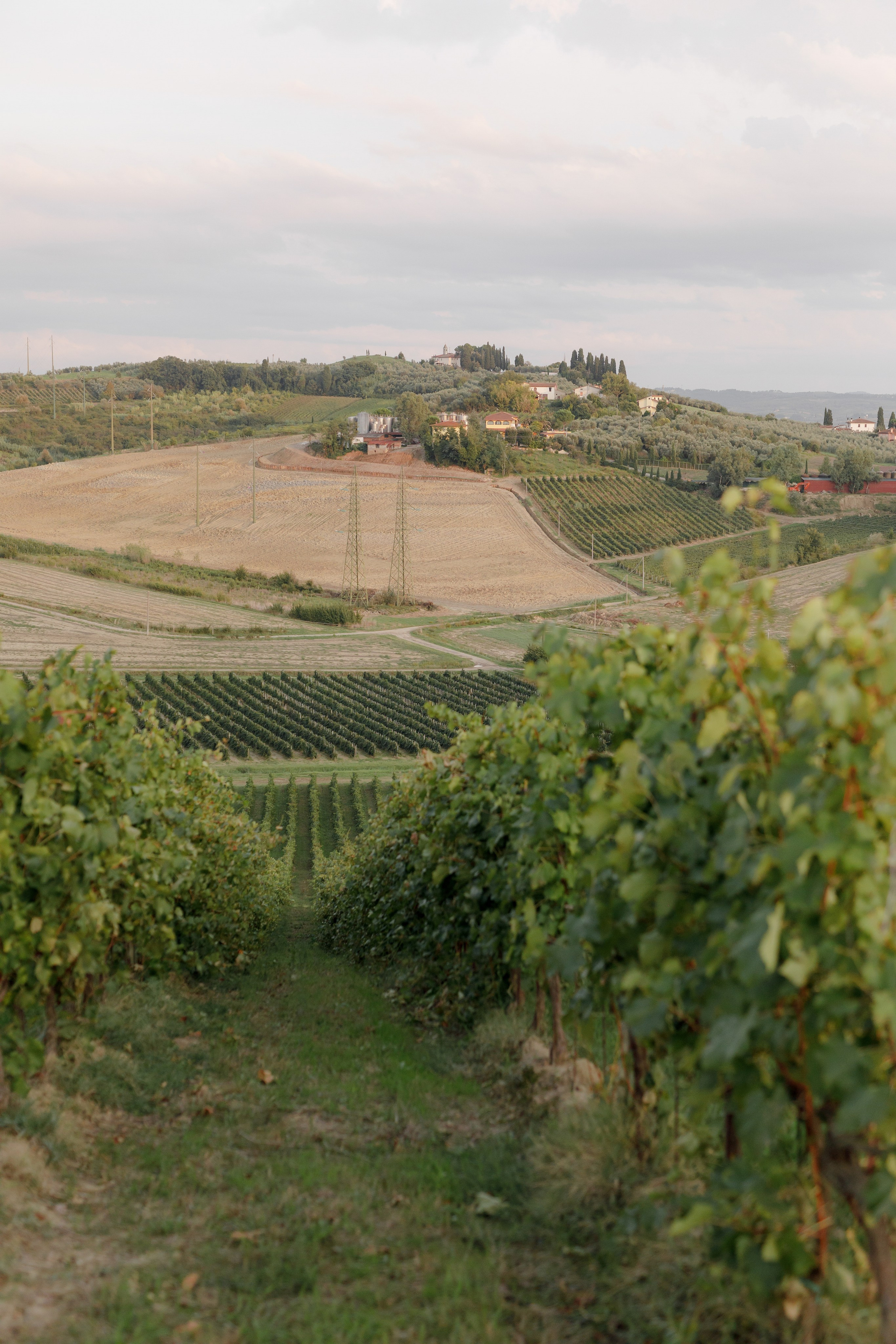 Dom&Ally. Весільний фотограф Вікторія Саврук