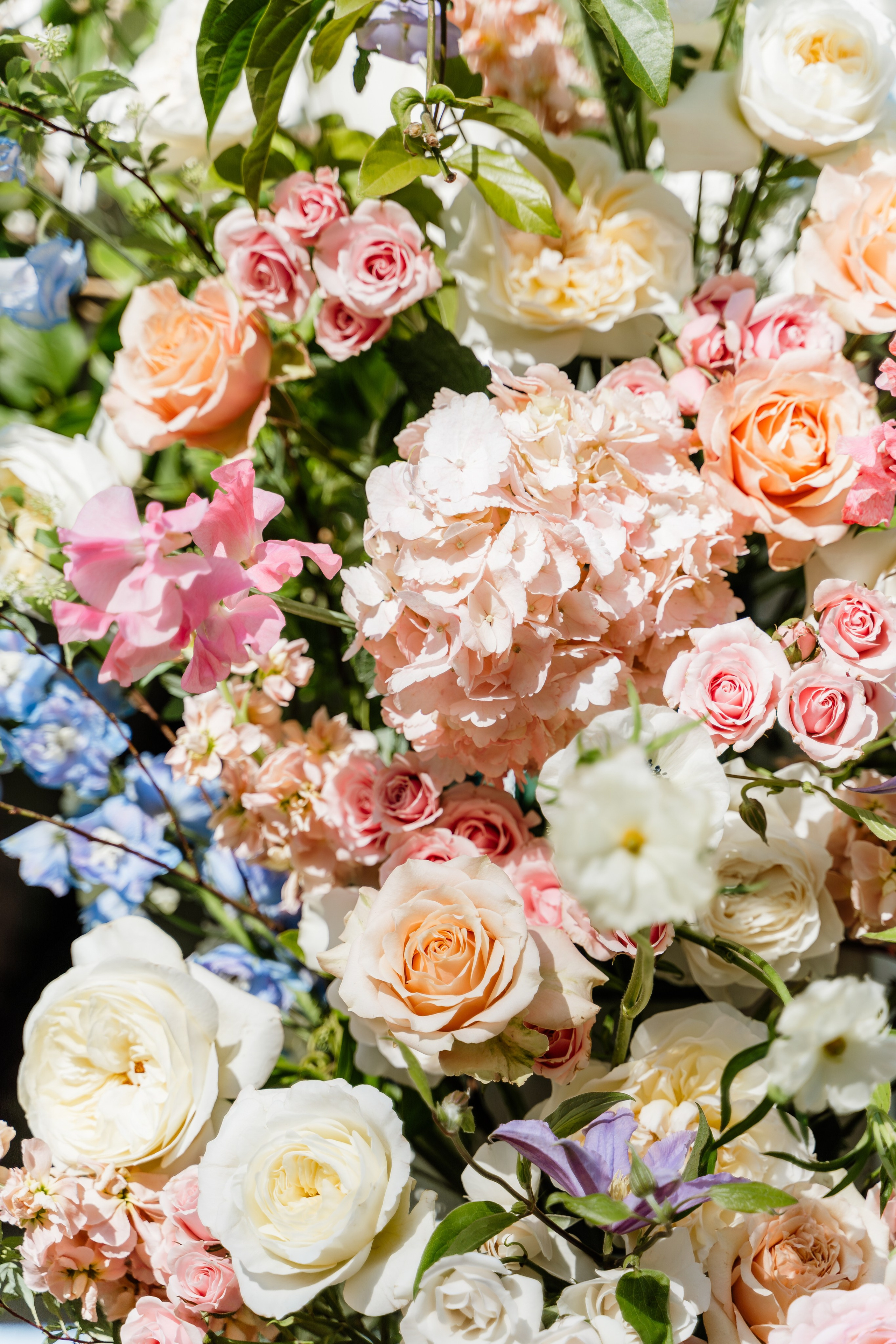 Daniel & Michelle Wedding. Pixel Pie — Wedding Photography & Videography